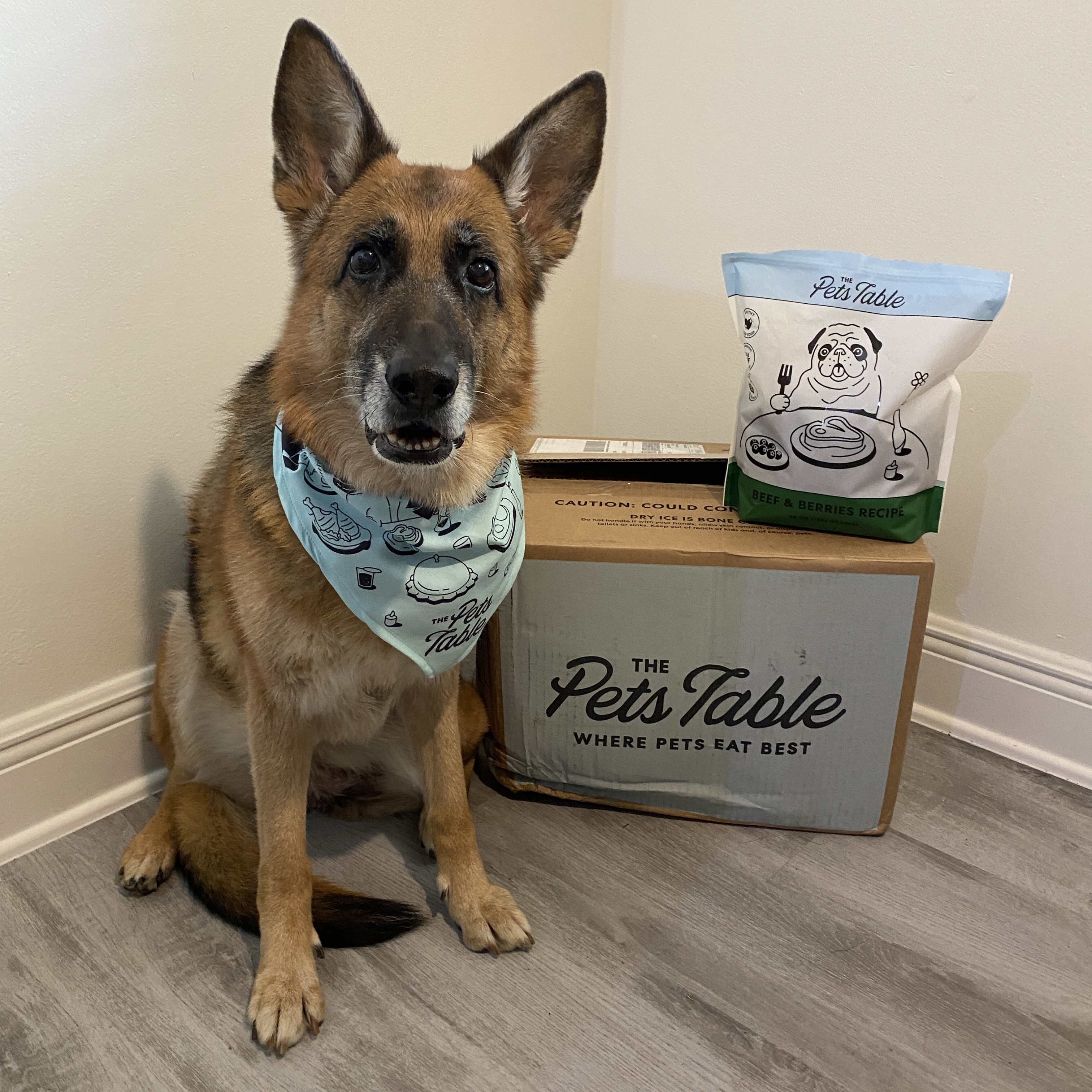 First Impressions The Pets Table My Subscription Addiction