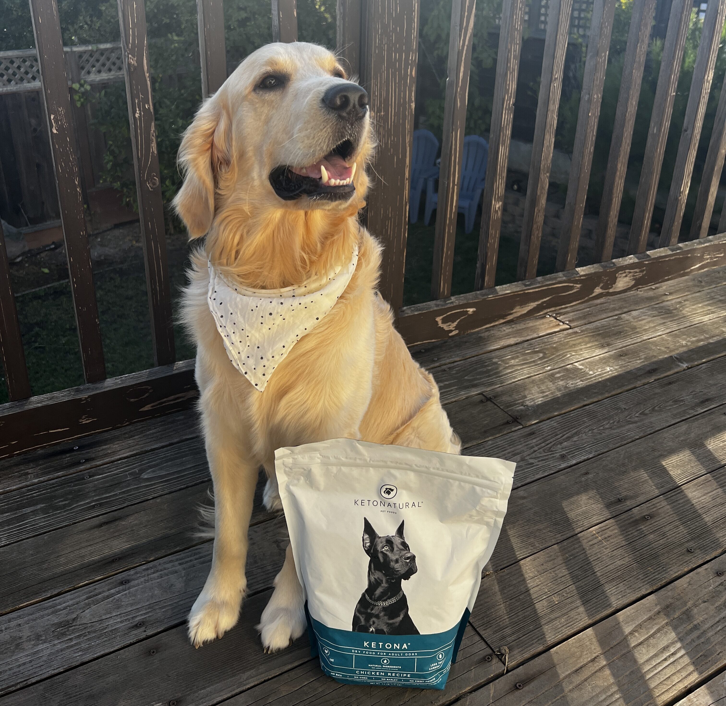 Keto natural pet store food