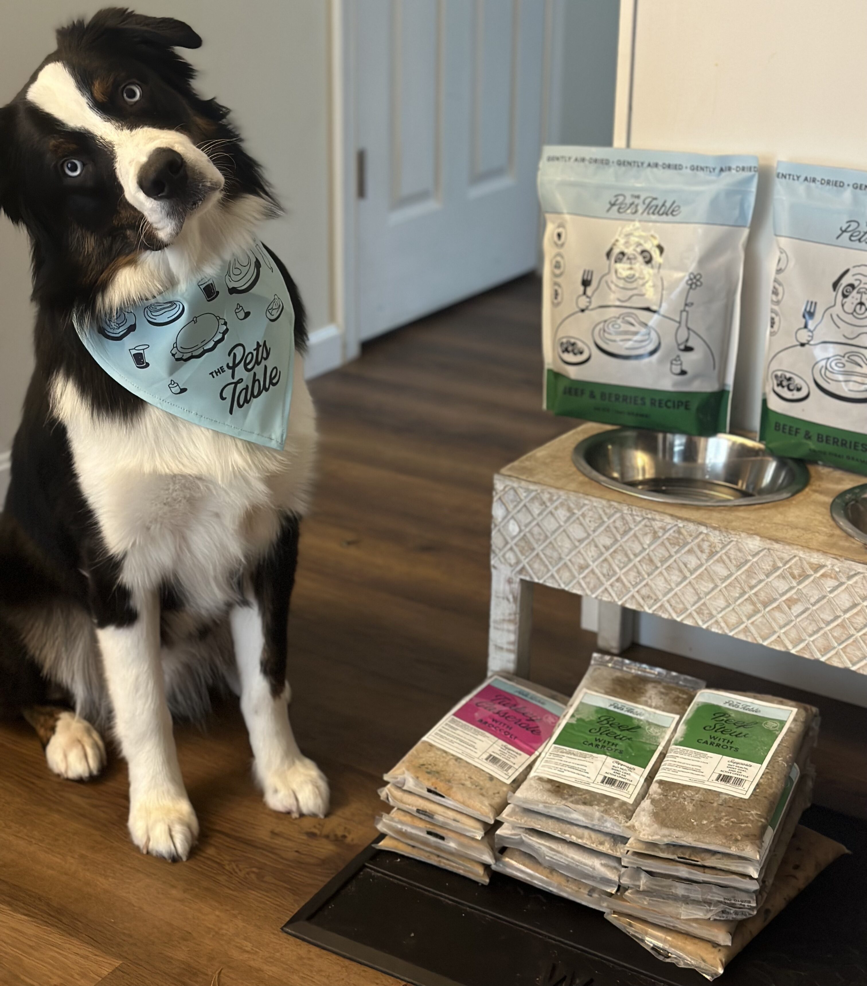 Ollie vs. HelloFresh s The Pets Table Which Dog Food Won My Pup s