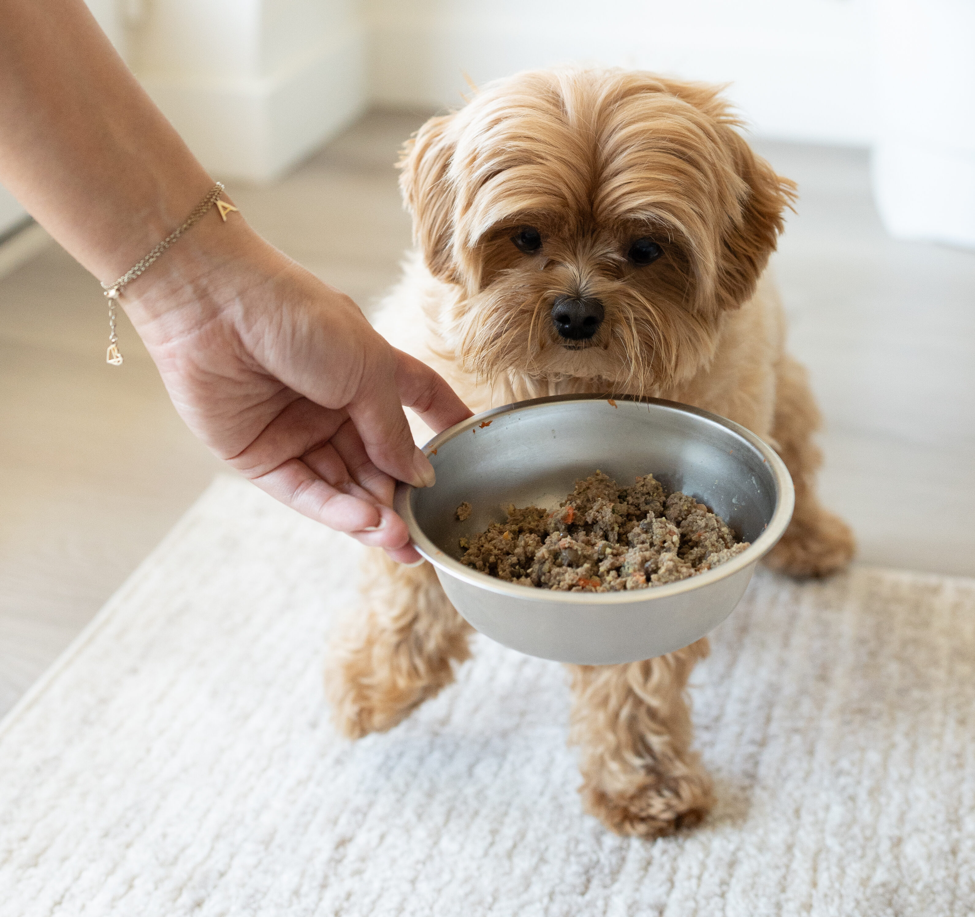 The Farmer s Dog Has Delivered 100 000 000 Meals and Has