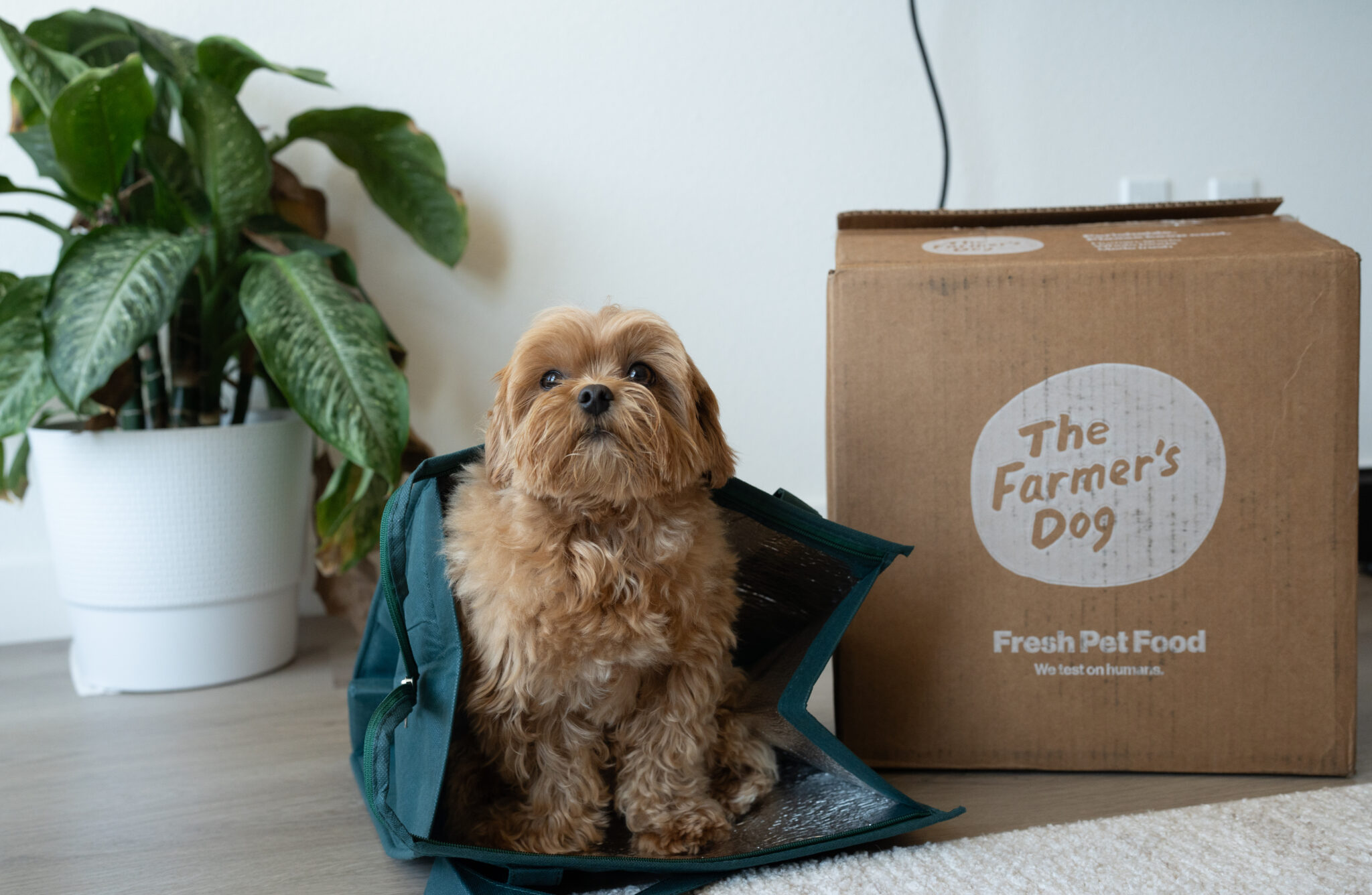 The Farmer’s Dog Has Delivered 100,000,000+ Meals and Has Thousands of