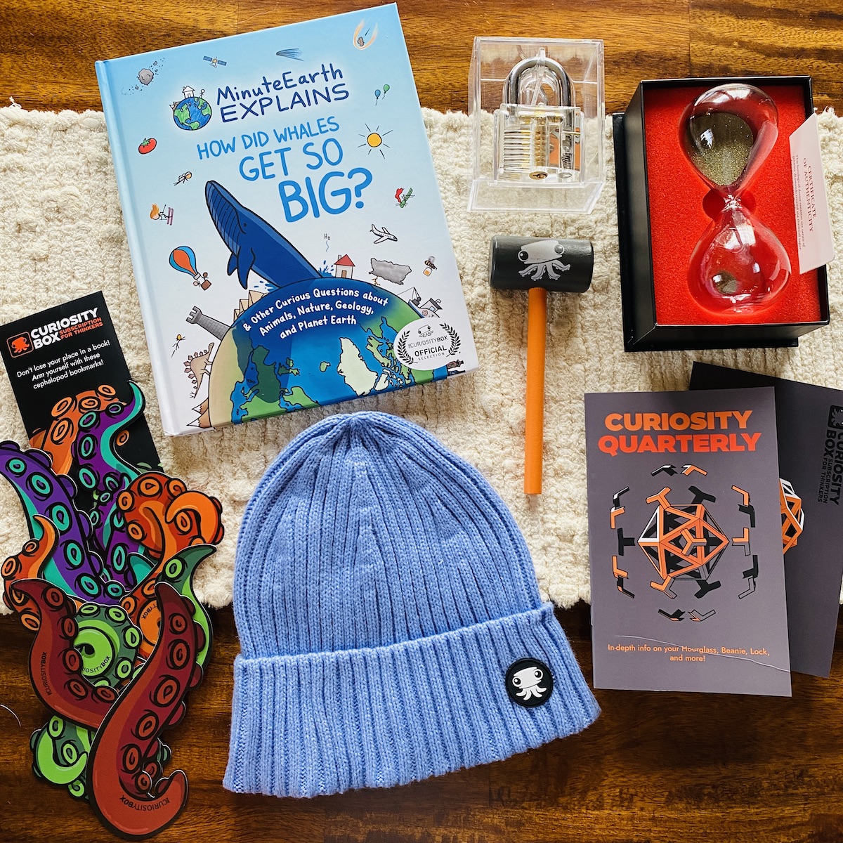 The Curiosity Box Subscription Box Review - Fall 2023