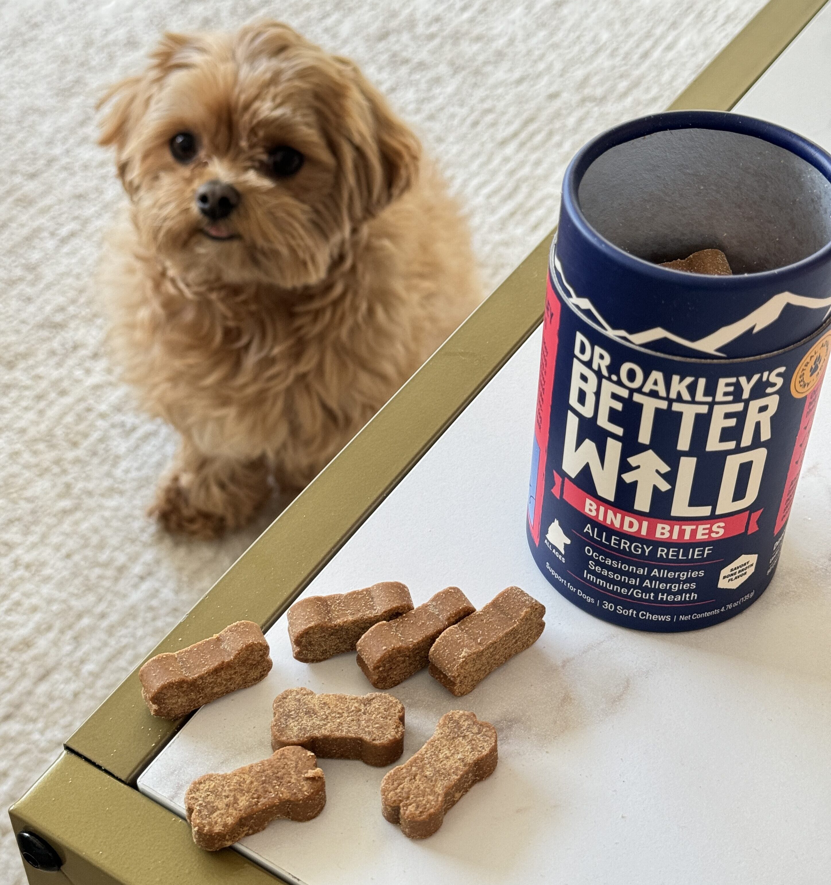 5 Surprising Signs Your Dog Has Allergies–And How You Can Help