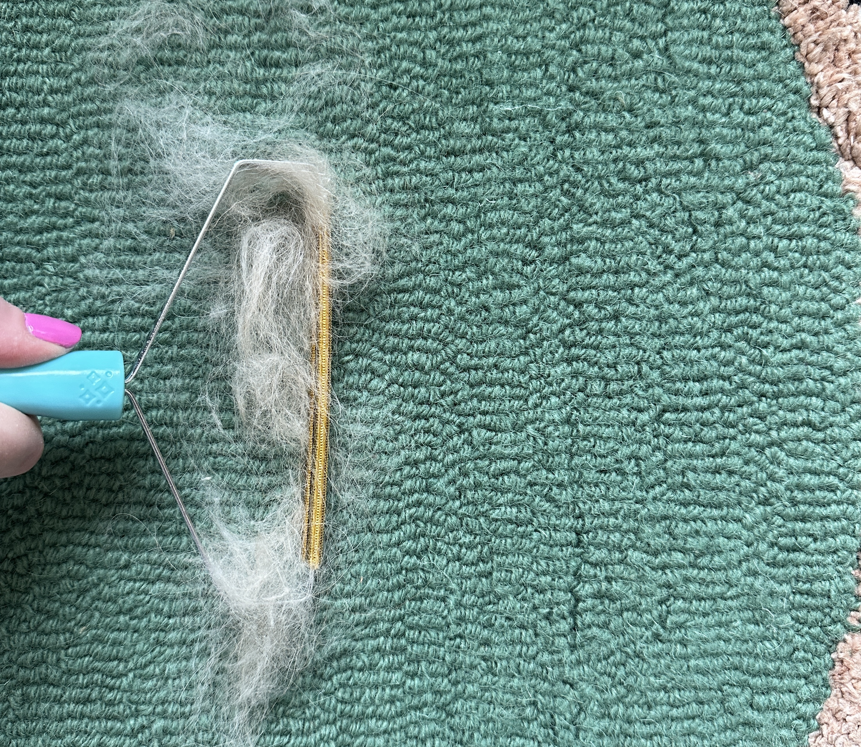 My Battle with Pet Hair is Over: Inside the Tool Everyone’s Raving About