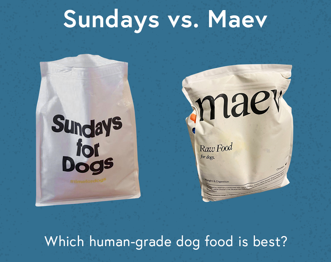 Sundays vs. Maev Which Dog Food Makes My Pup Lick His Bowl Clean