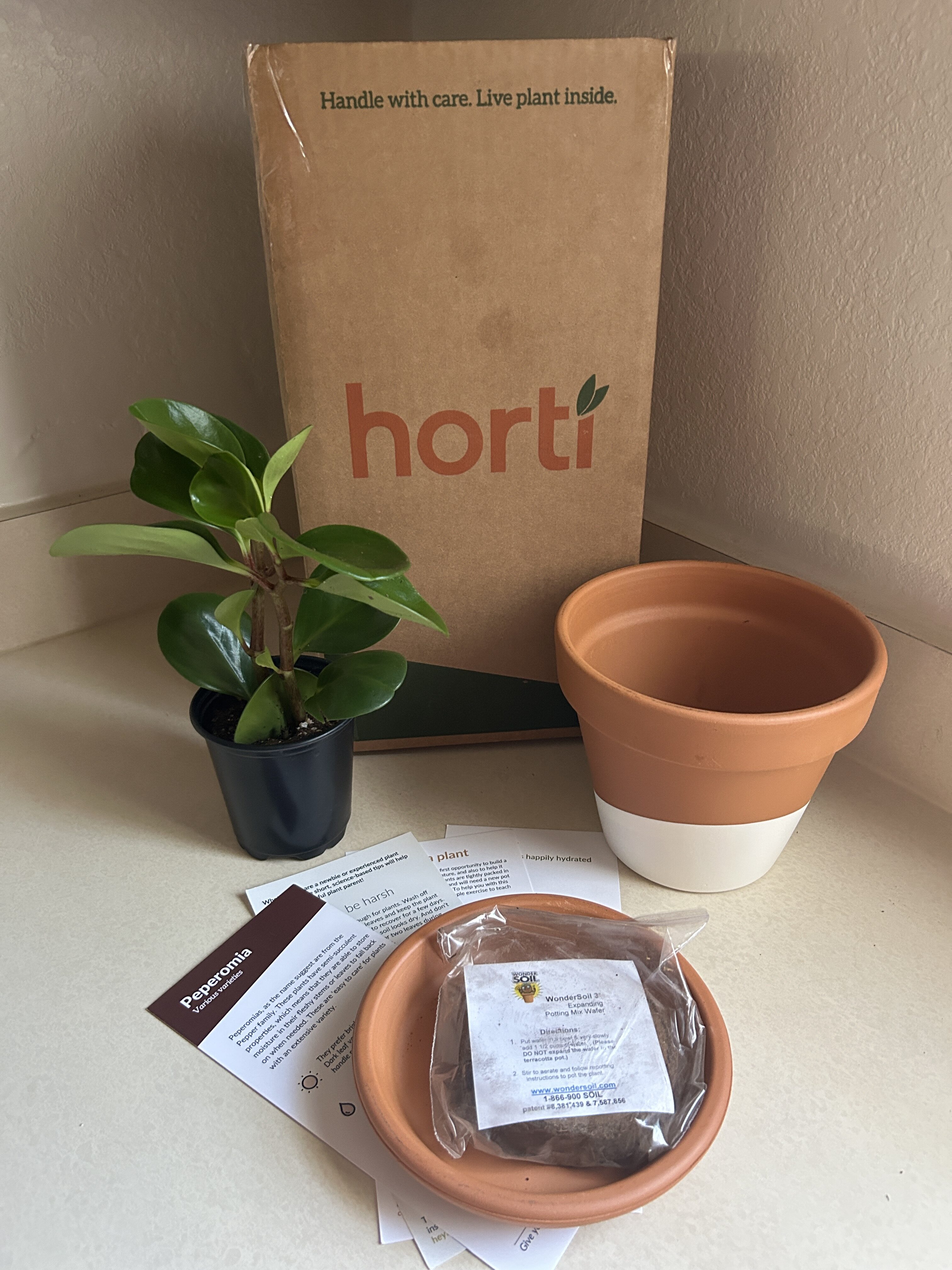 First Impressions: Horti