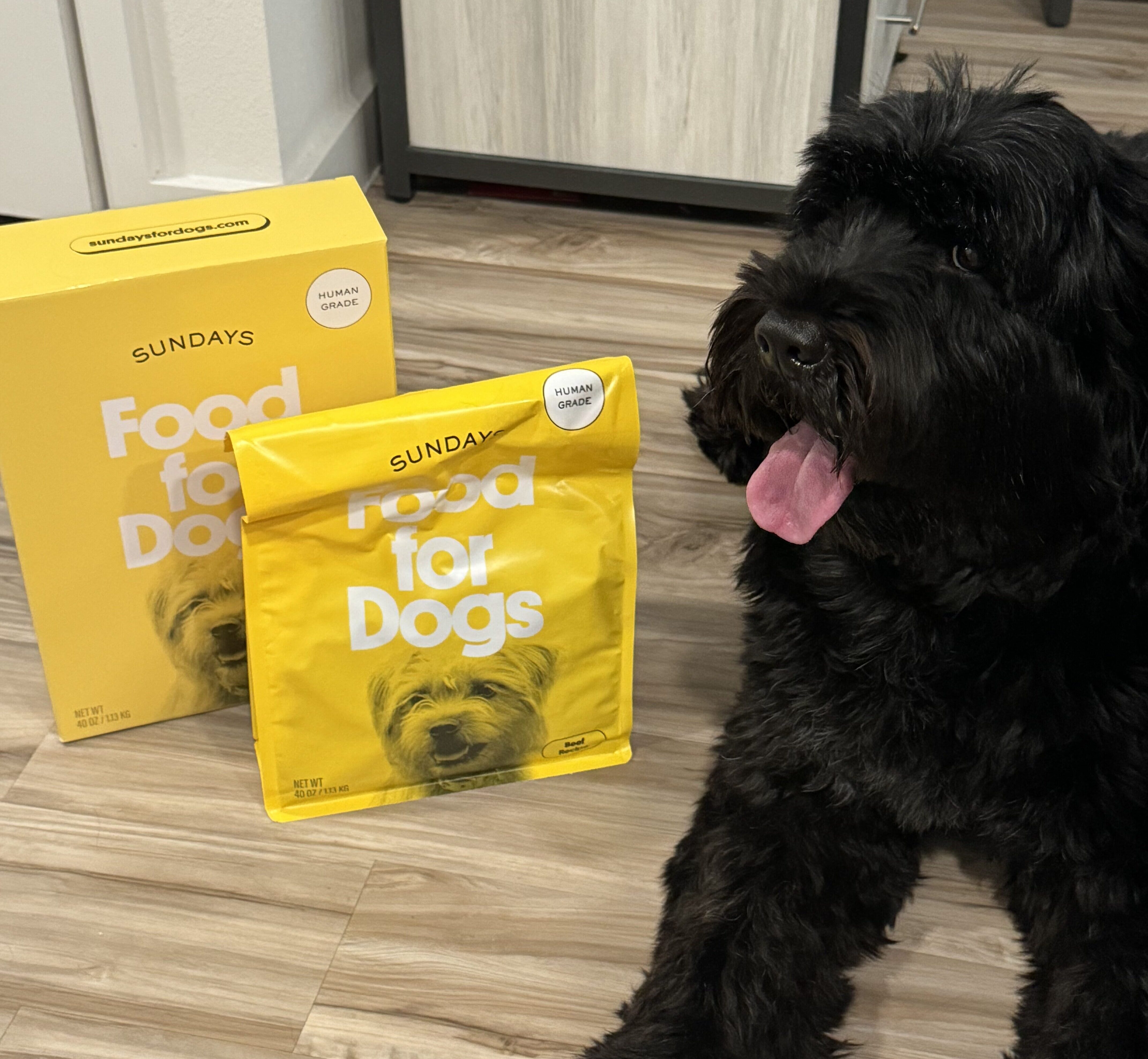 Is This Fresh Dog Food Alternative Really Worth The Hype? We Found Out.