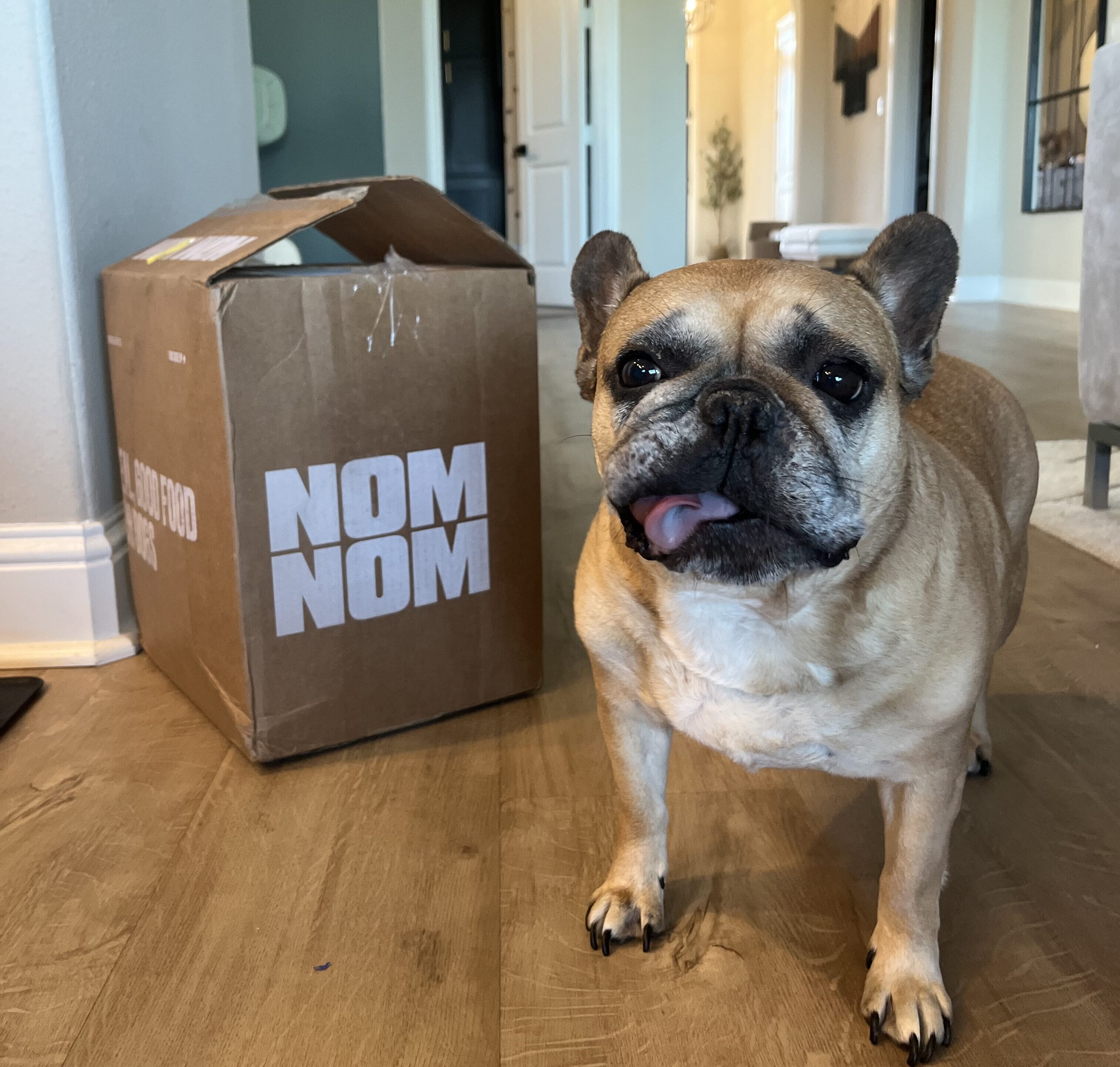 4 Ways I’m Making My Dog’s Day Even Better