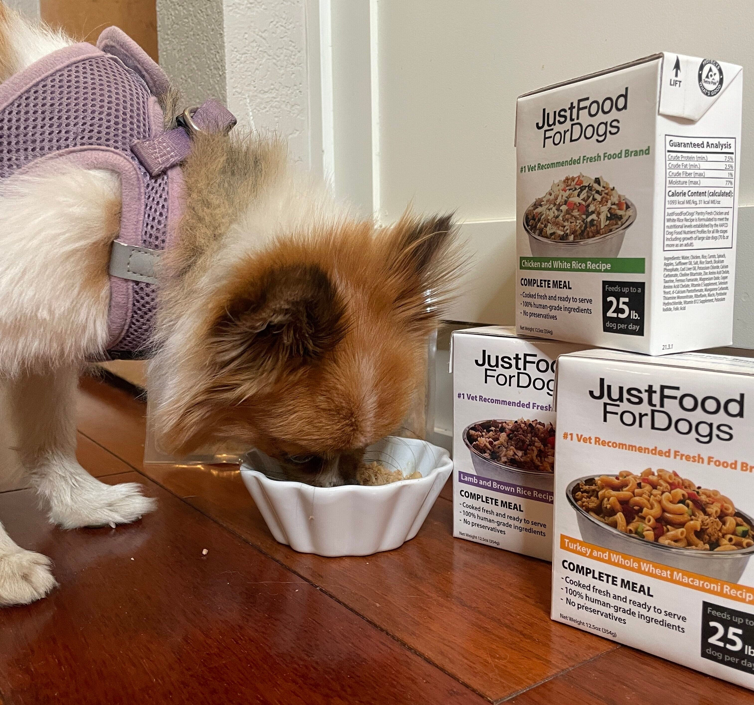 Just Food For Dogs vs. Ollie: Which Dog Food Brand Leads the Pack?