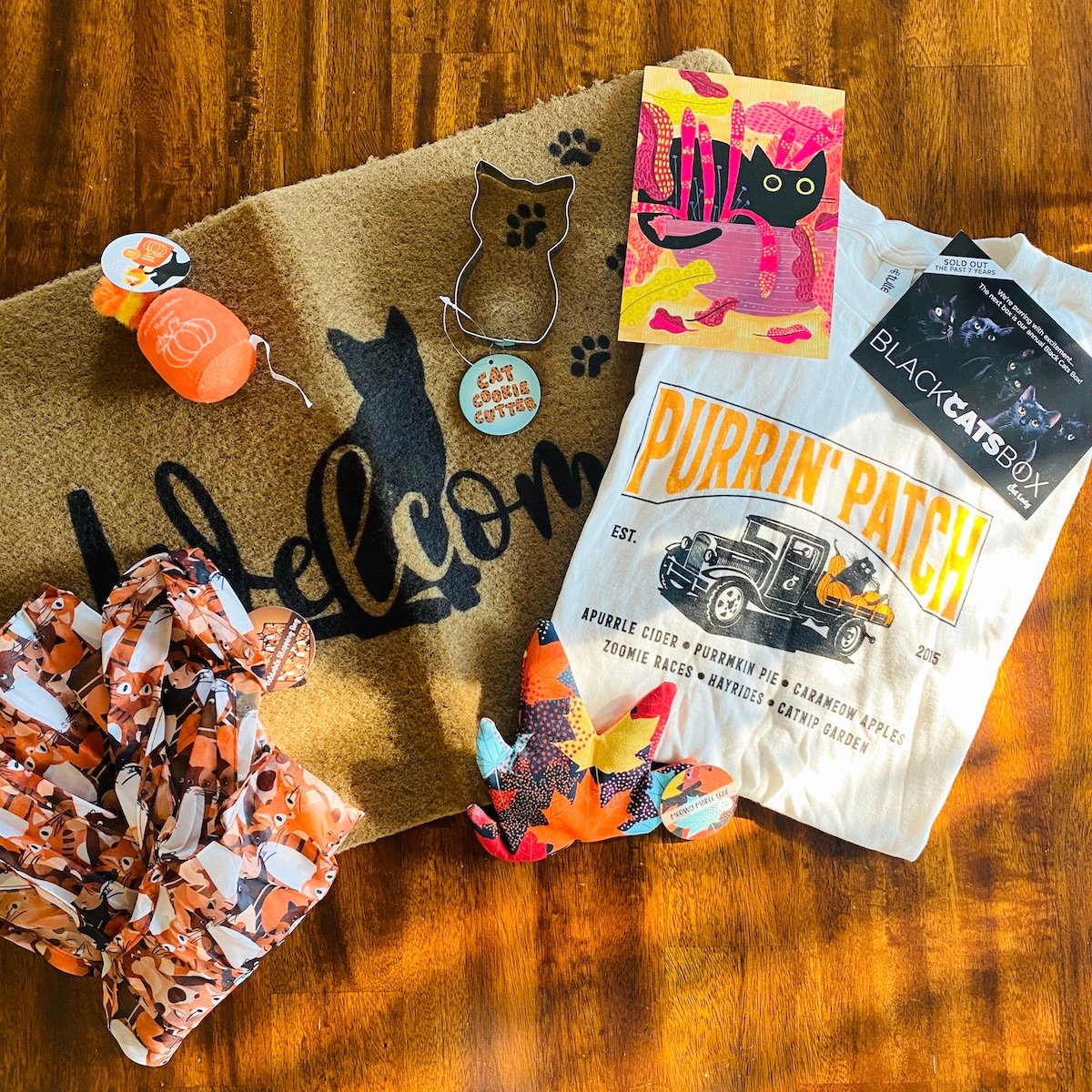 Cat lady subscription box hotsell