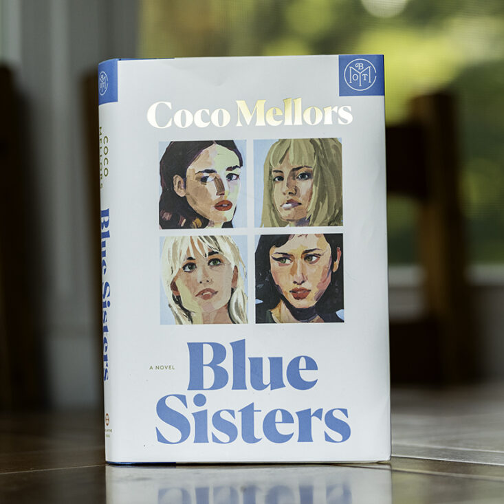 the book Blue Sisters by Coco Mellors   with a Book of the Month logo in the corner