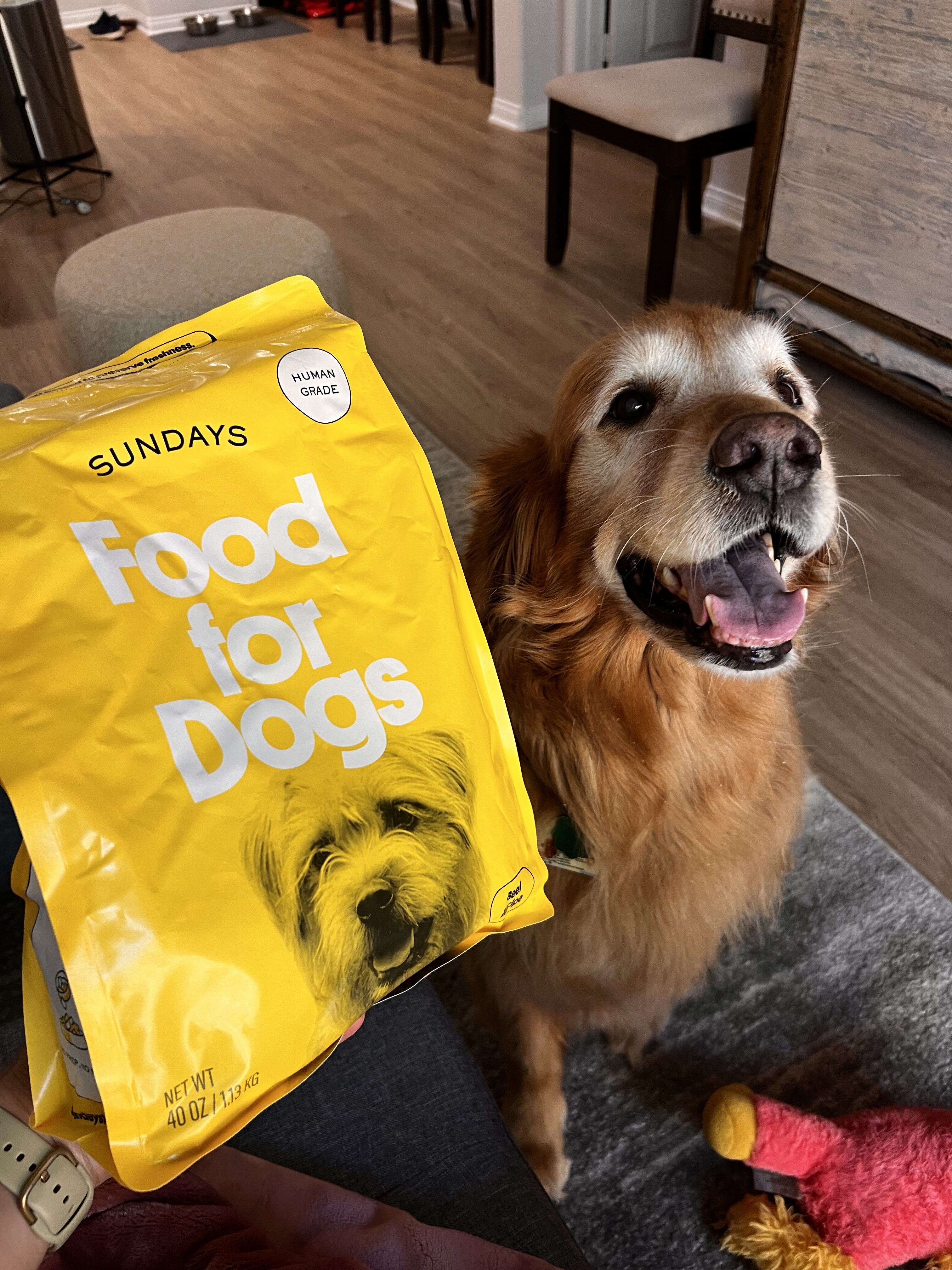 Sundays Air-Dried Dog Food vs. Spot & Tango Fresh Dog Food: Is Fresh Really Better? I Found Out for You
