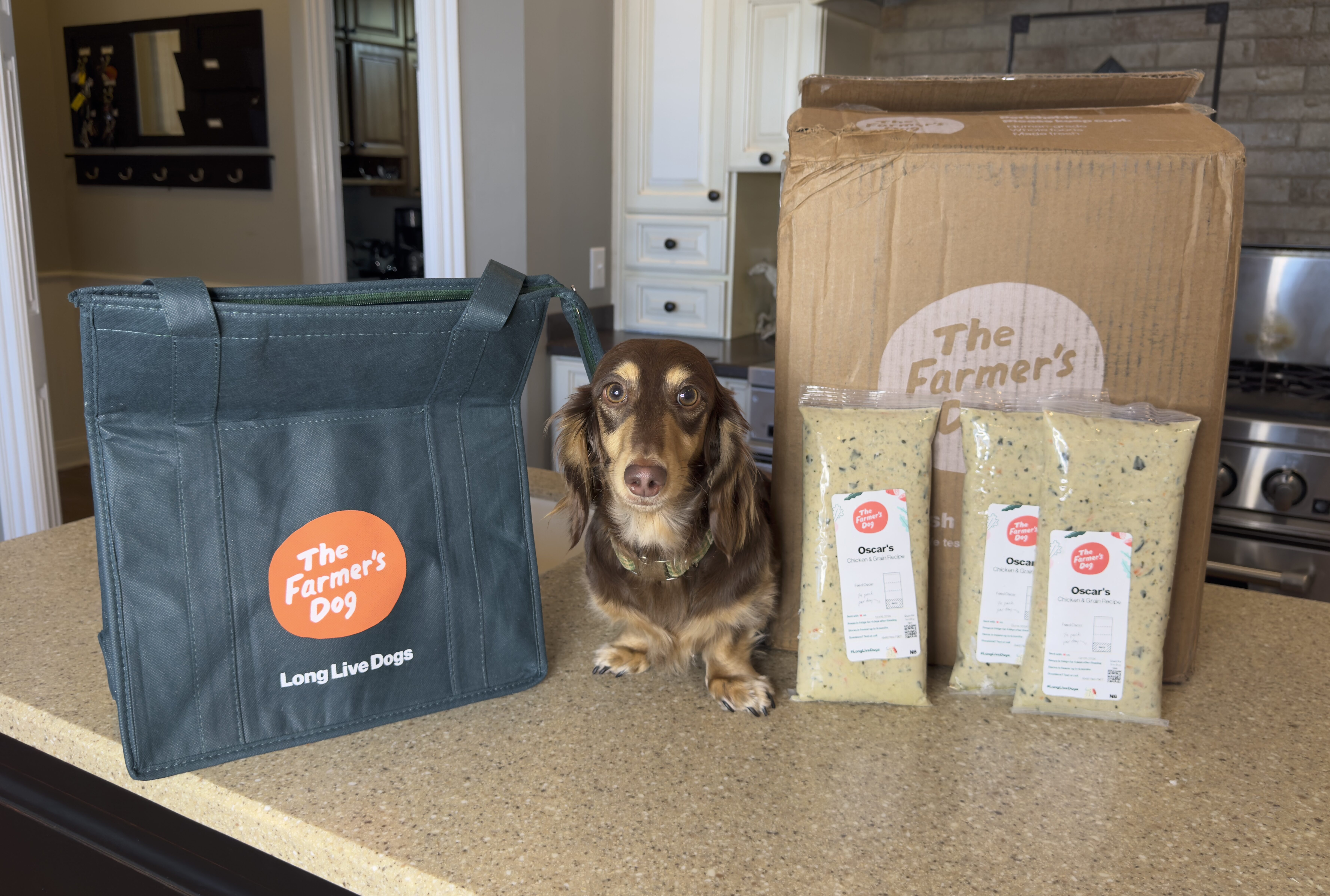 4 Reasons Why Switching Your Dog to The Farmer’s Dog Should Be Your #1 New Year’s Resolution
