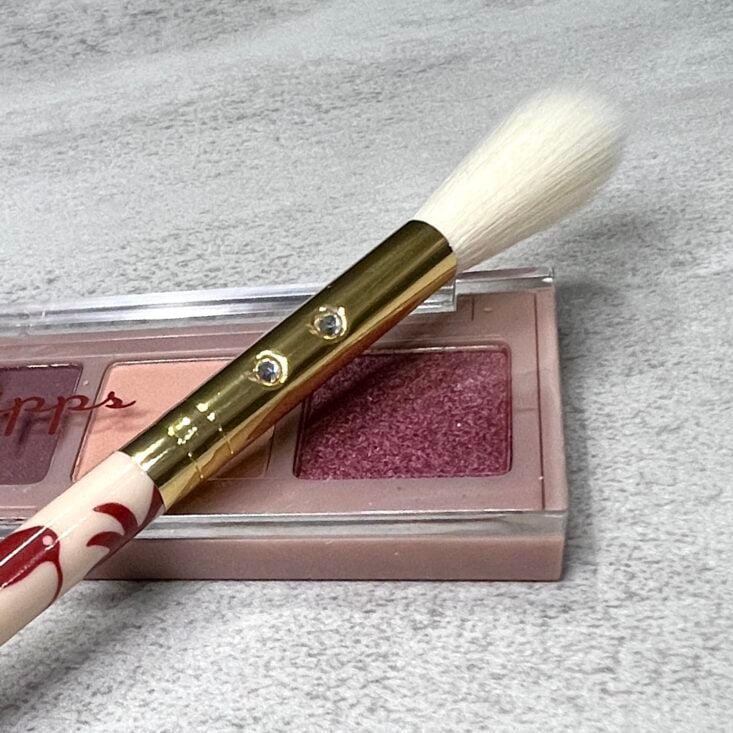 Closeup of SL Miss Glam Brush for Ipsy Glam Bag September 2024