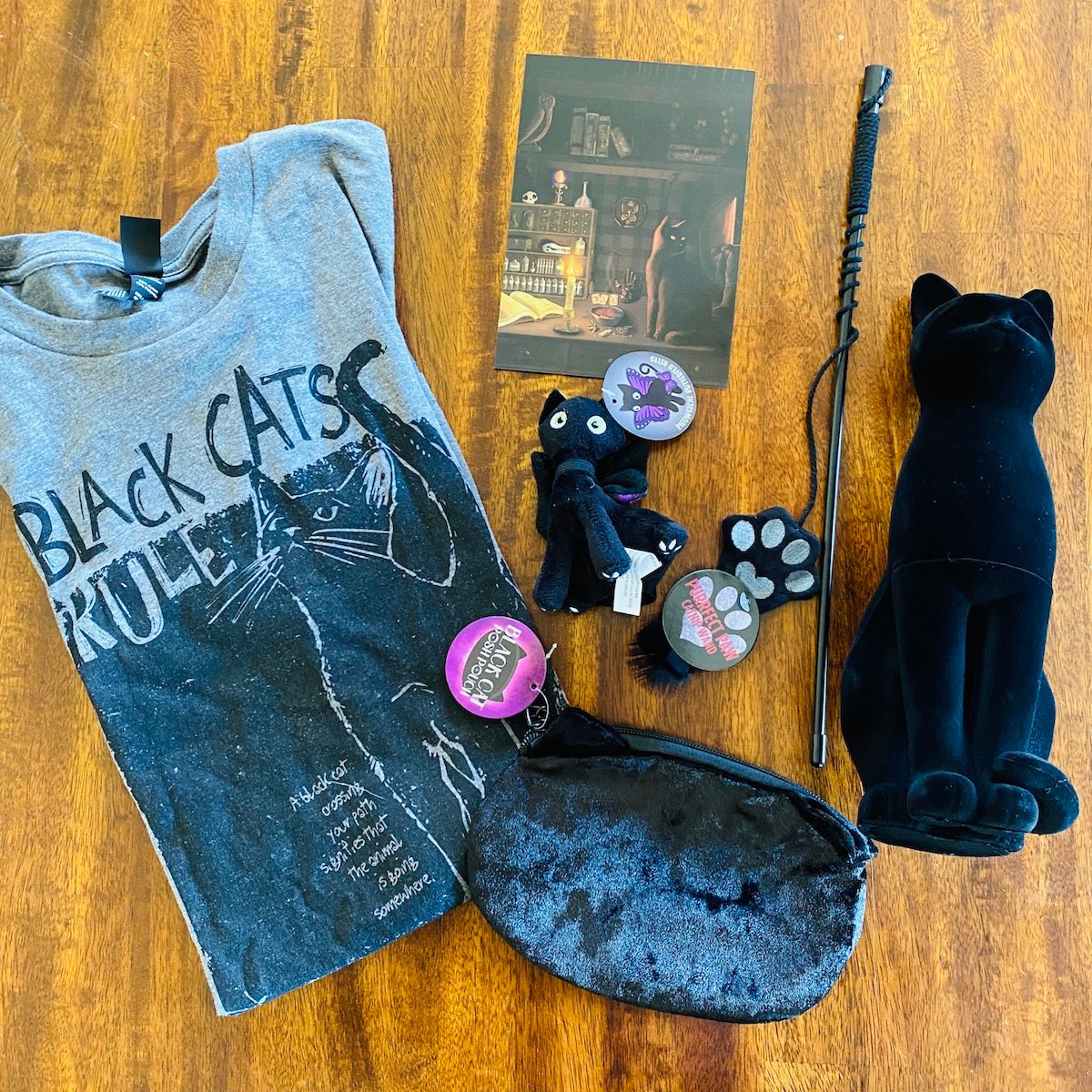 CatLadyBox Review “Black Cats Box” October 2024