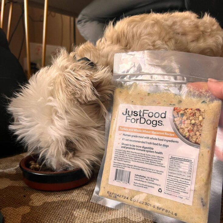 Just Food for Dogs Get 50 Off First Order BFCM Sale