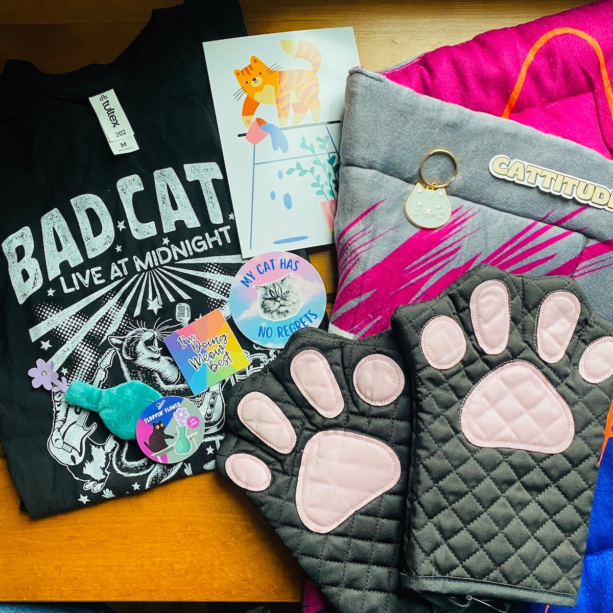 CatLadyBox Review “Bad Cats” November 2024