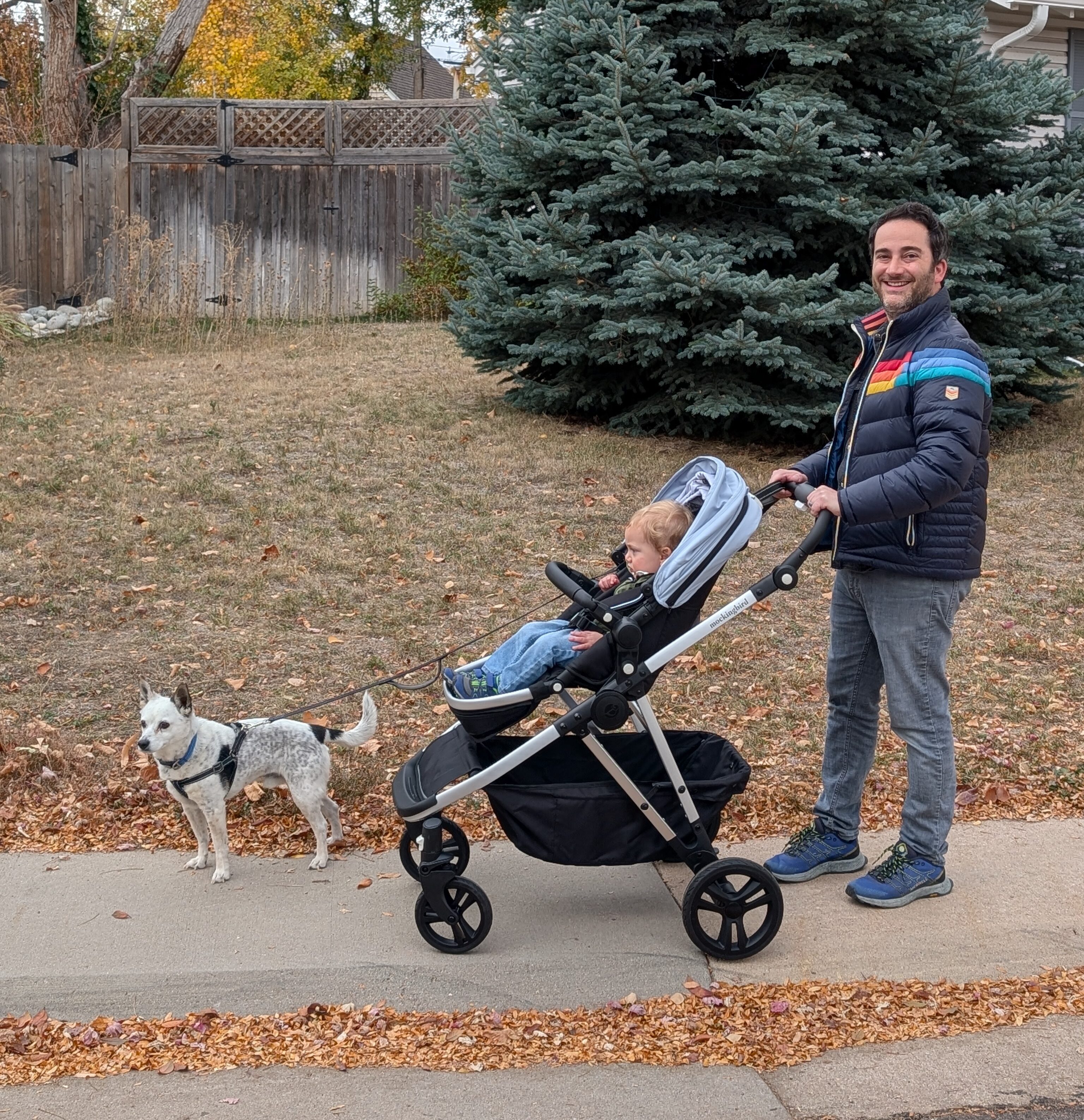 Mockingbird vs. UPPAbaby: Which Stroller Comes Out on Top?