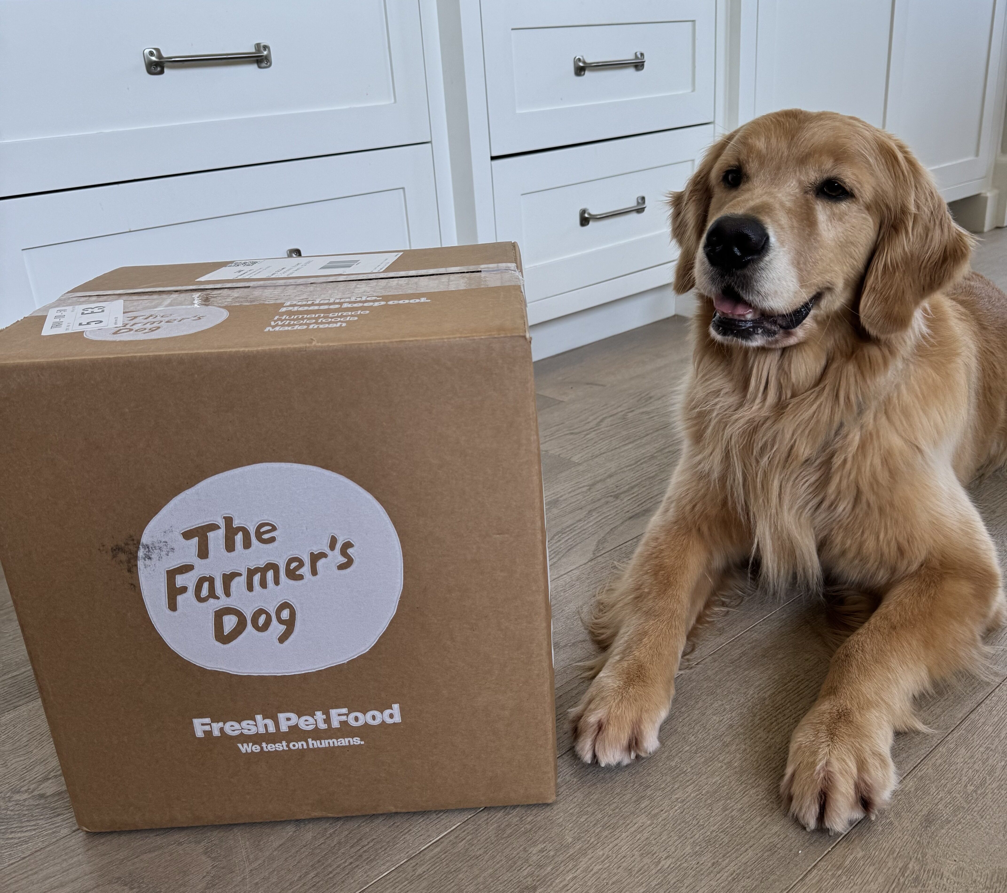 Plan On Eating Cleaner This Year? Your Dogs Deserve the Same Upgrade…And The Farmer’s Dog Delivers, Literally