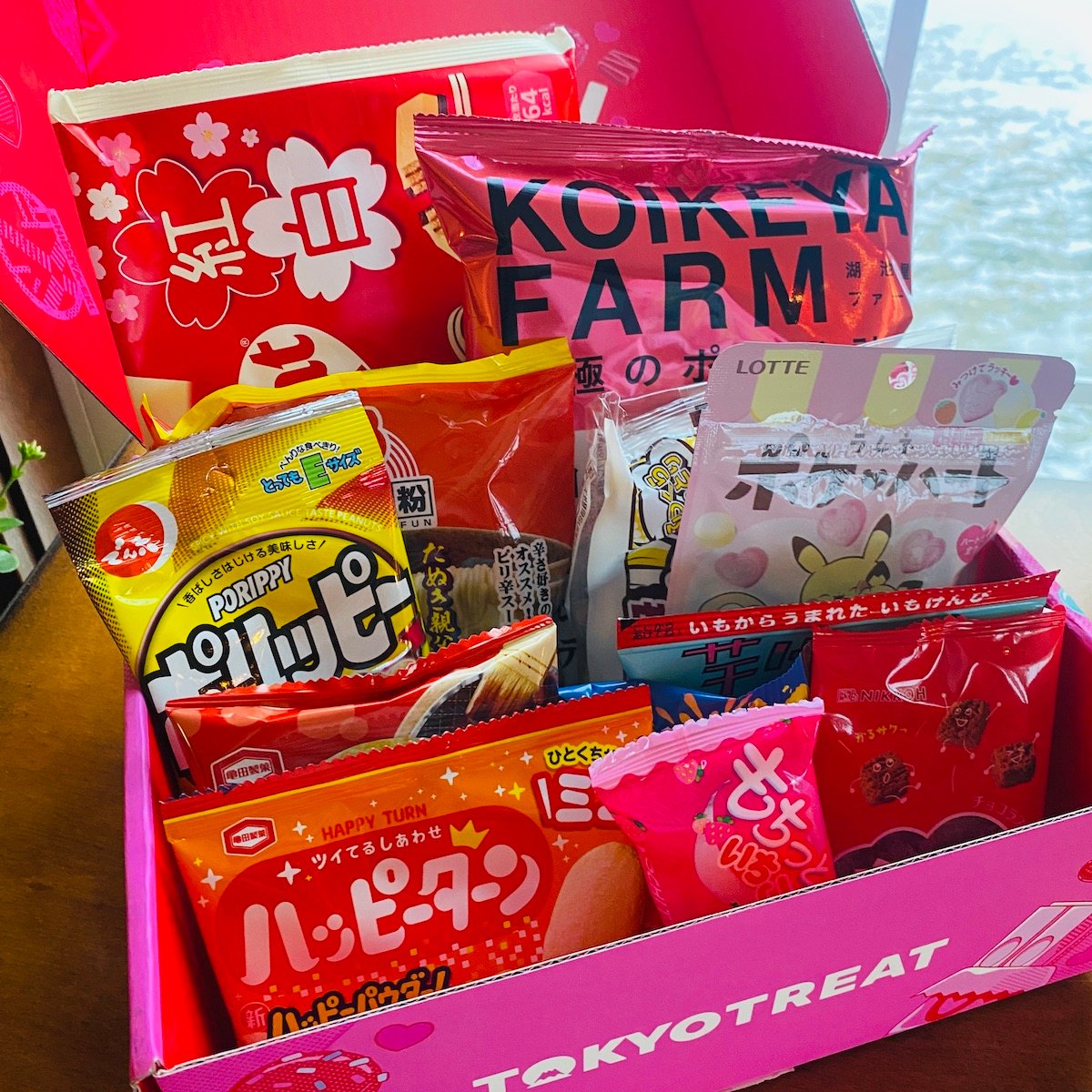 TokyoTreat Review – February 2025