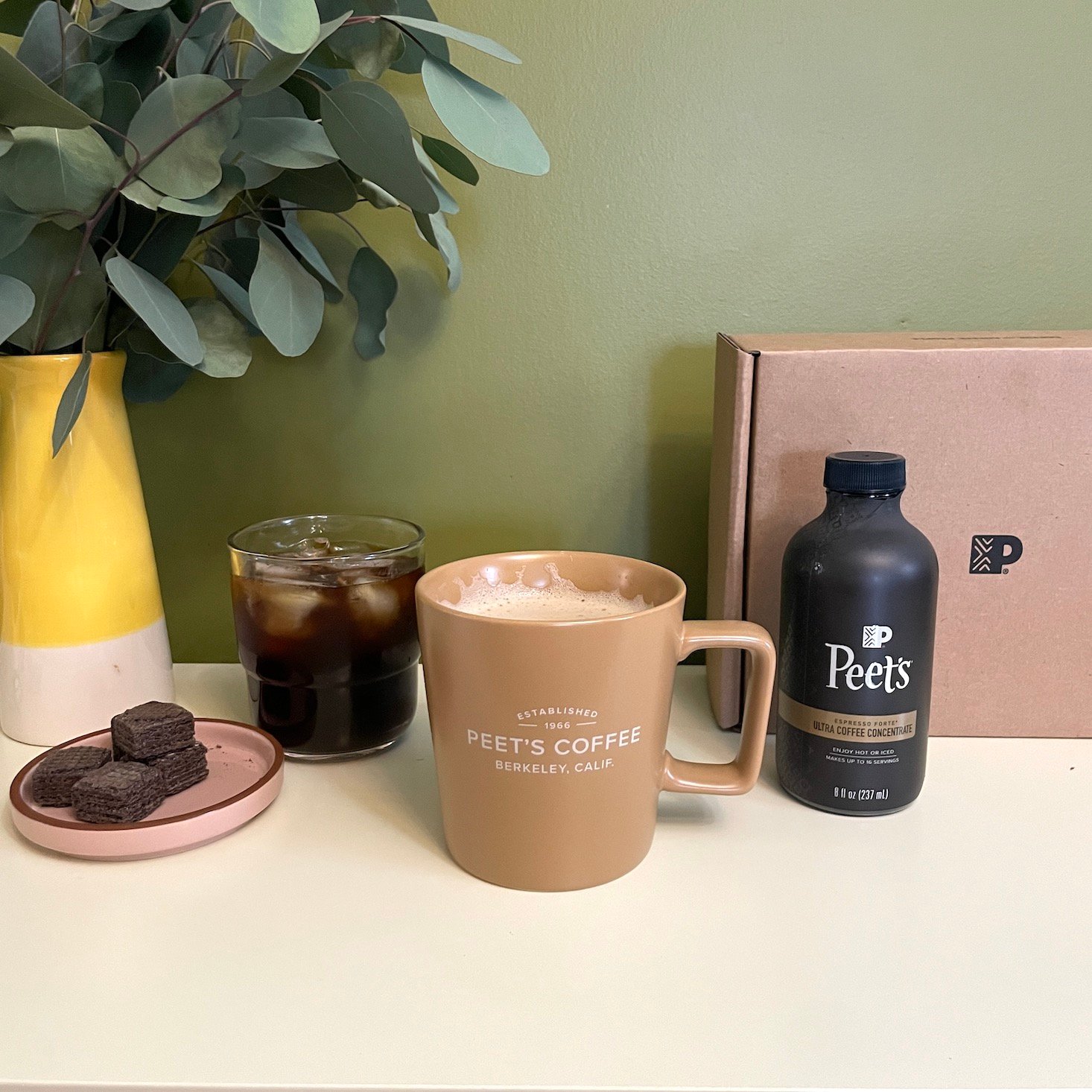 Peet’s Ultra Coffee Concentrate Review + Coupon, February 2025