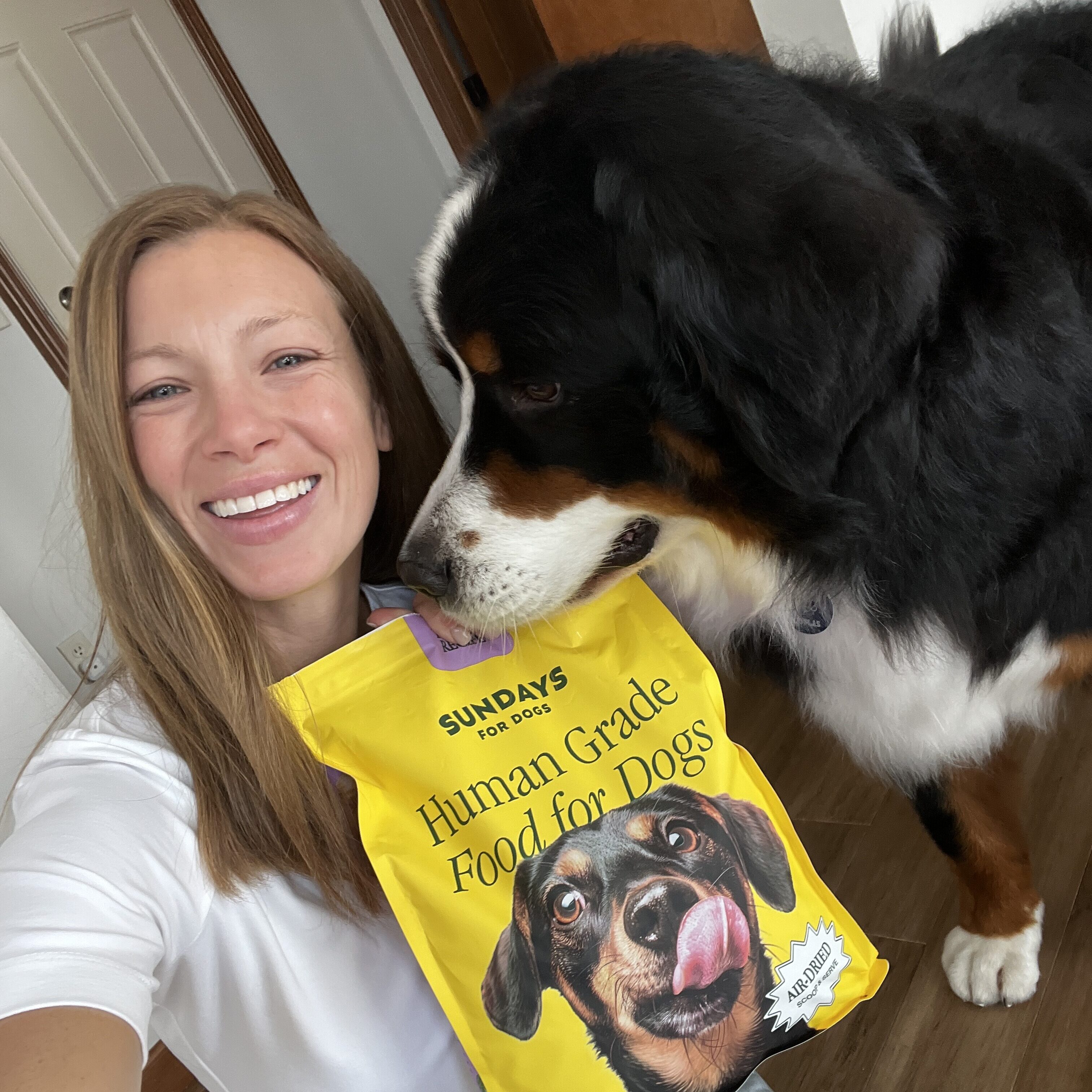 This Fresh Dog Food Alternative Made Me Rethink Everything I Knew About Pet Nutrition