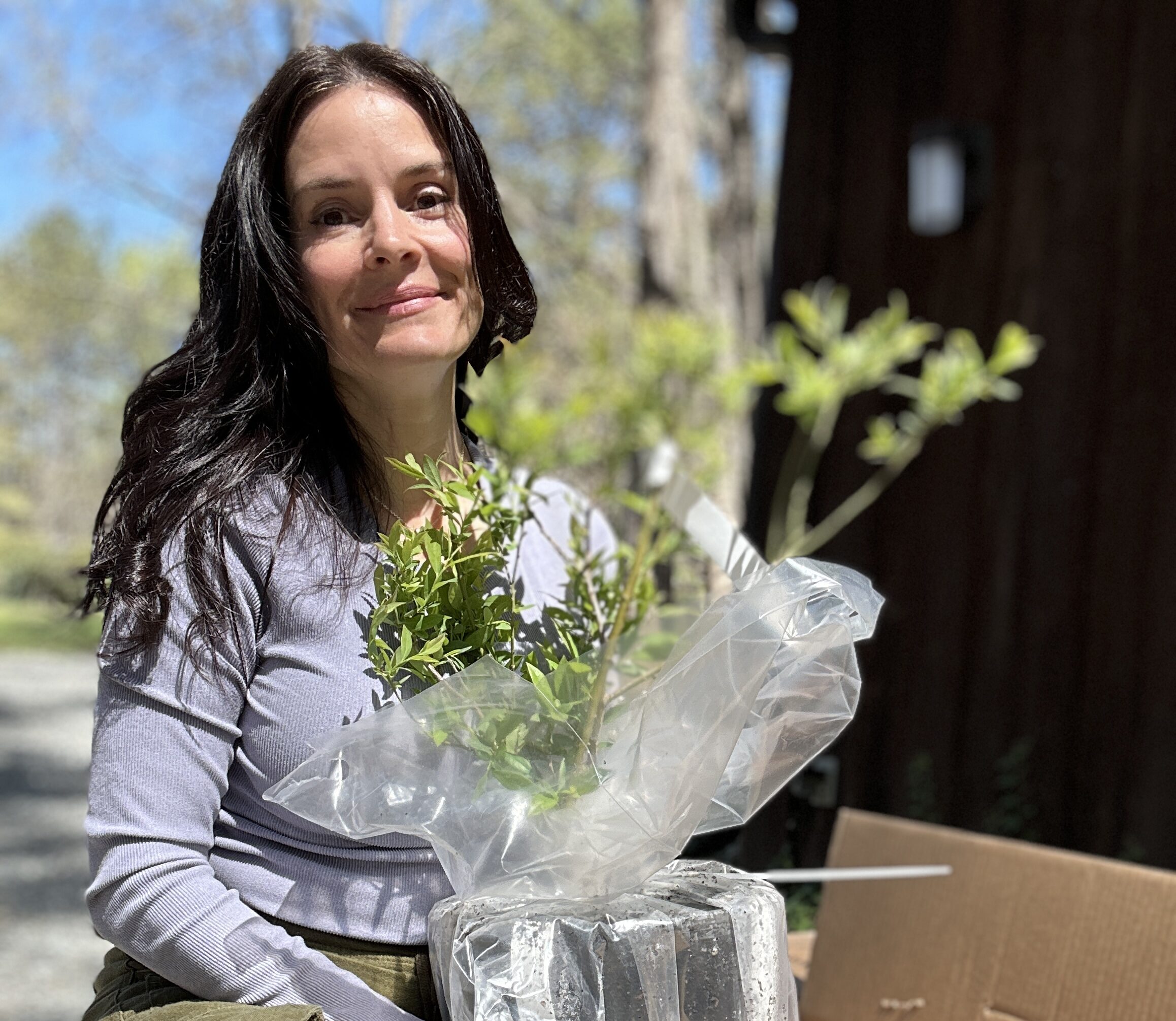 Why Everyone’s Obsessed with Fast Growing Trees (And Honestly? Same)