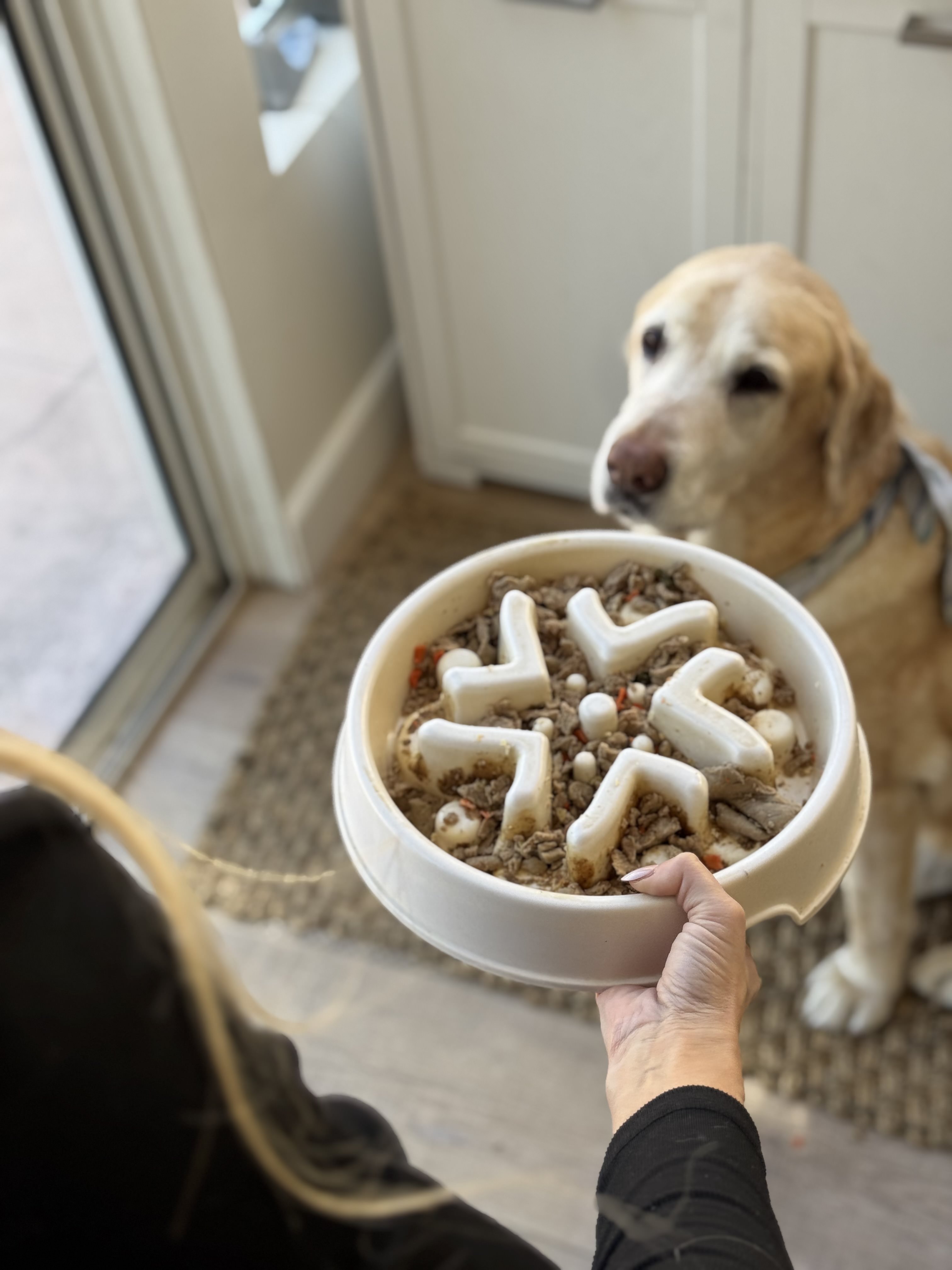 4 Surprising Benefits I Noticed After Switching My Dog to This Fresh Food Brand