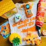 CatLadyBox Review “Orange Cats Box” April 2025