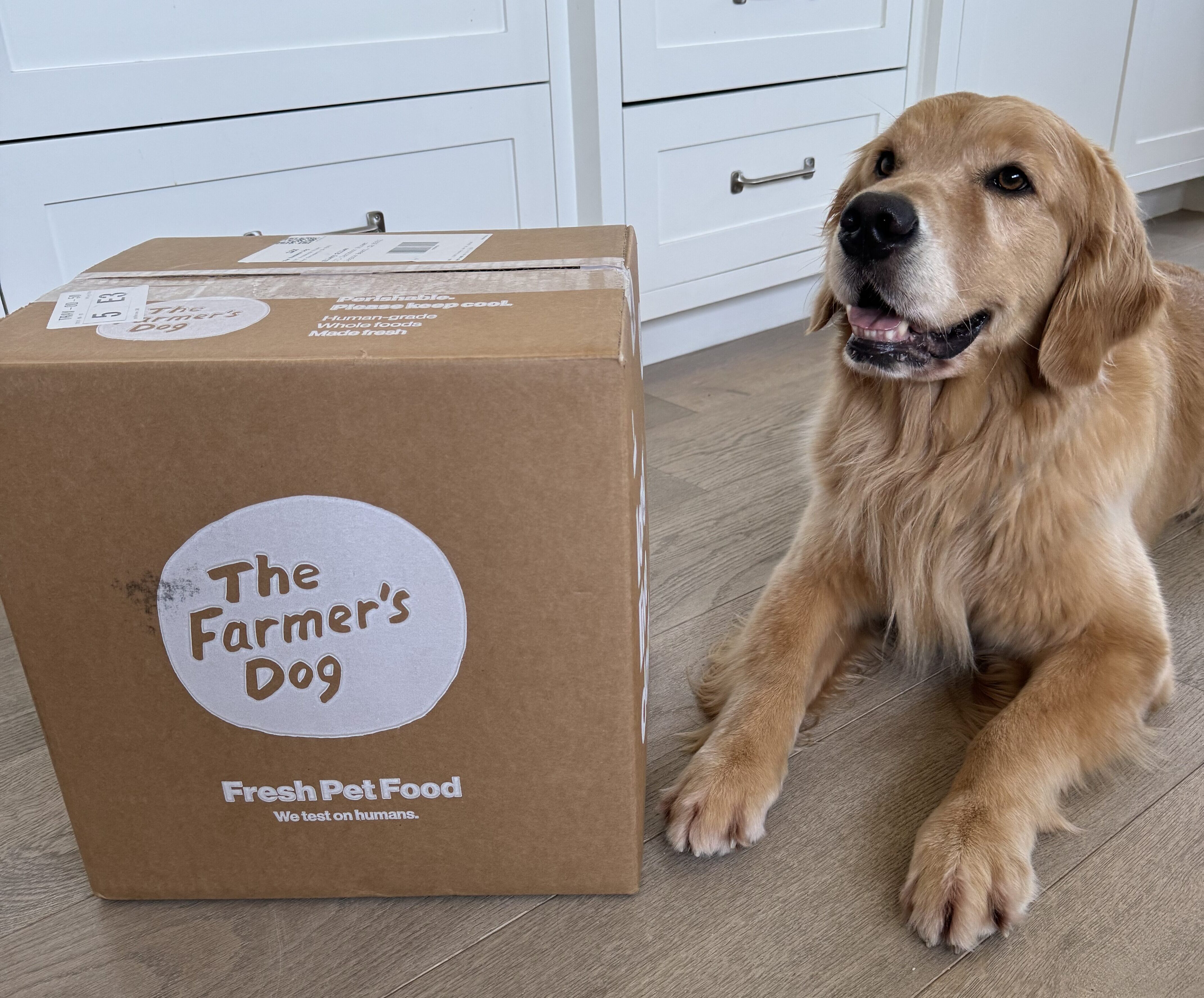 I Switched My Pup To The Farmer’s Dog 6 Months Ago — Here’s What I Noticed