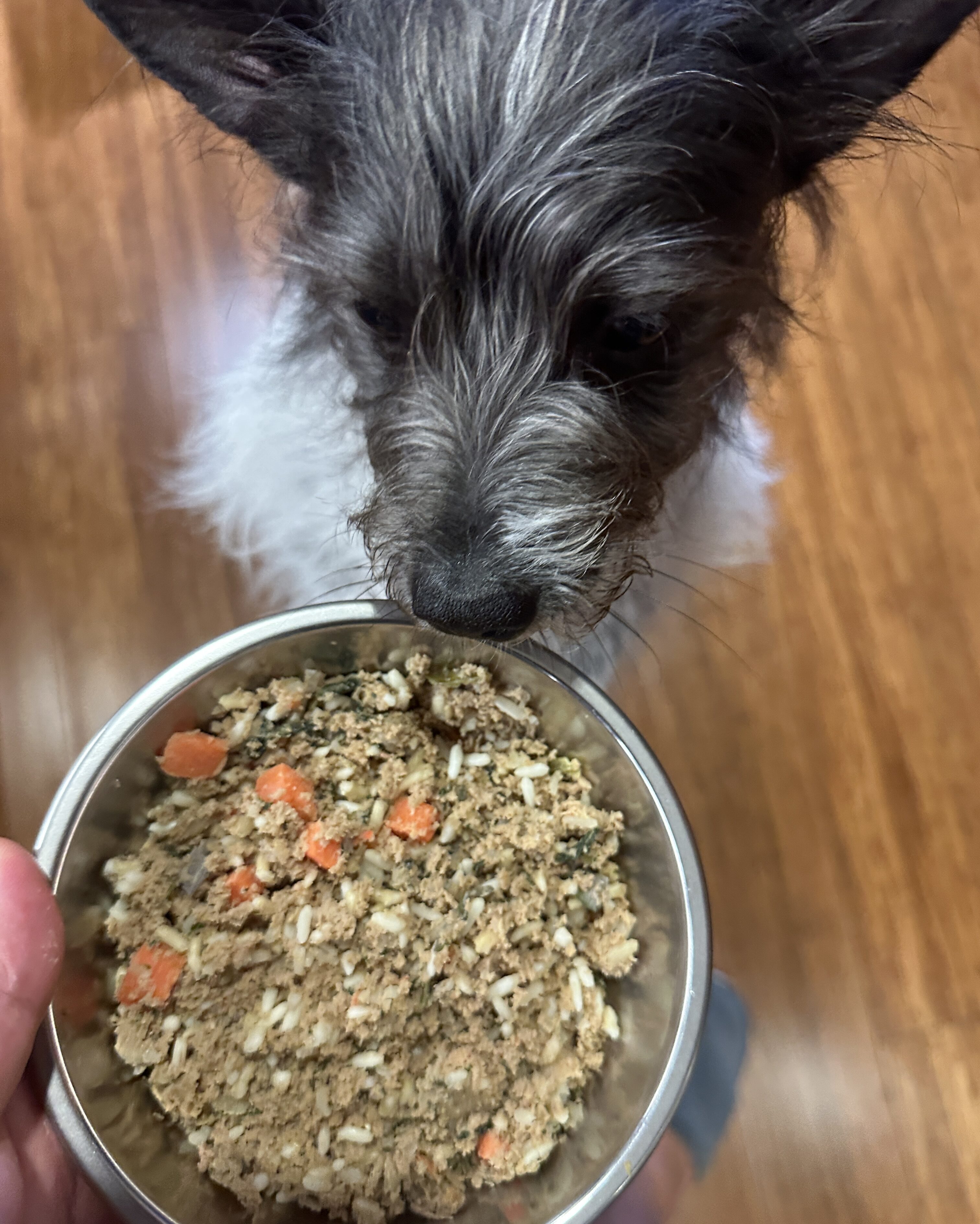 The One Dog Food That Actually Keeps Up With Our Adventures