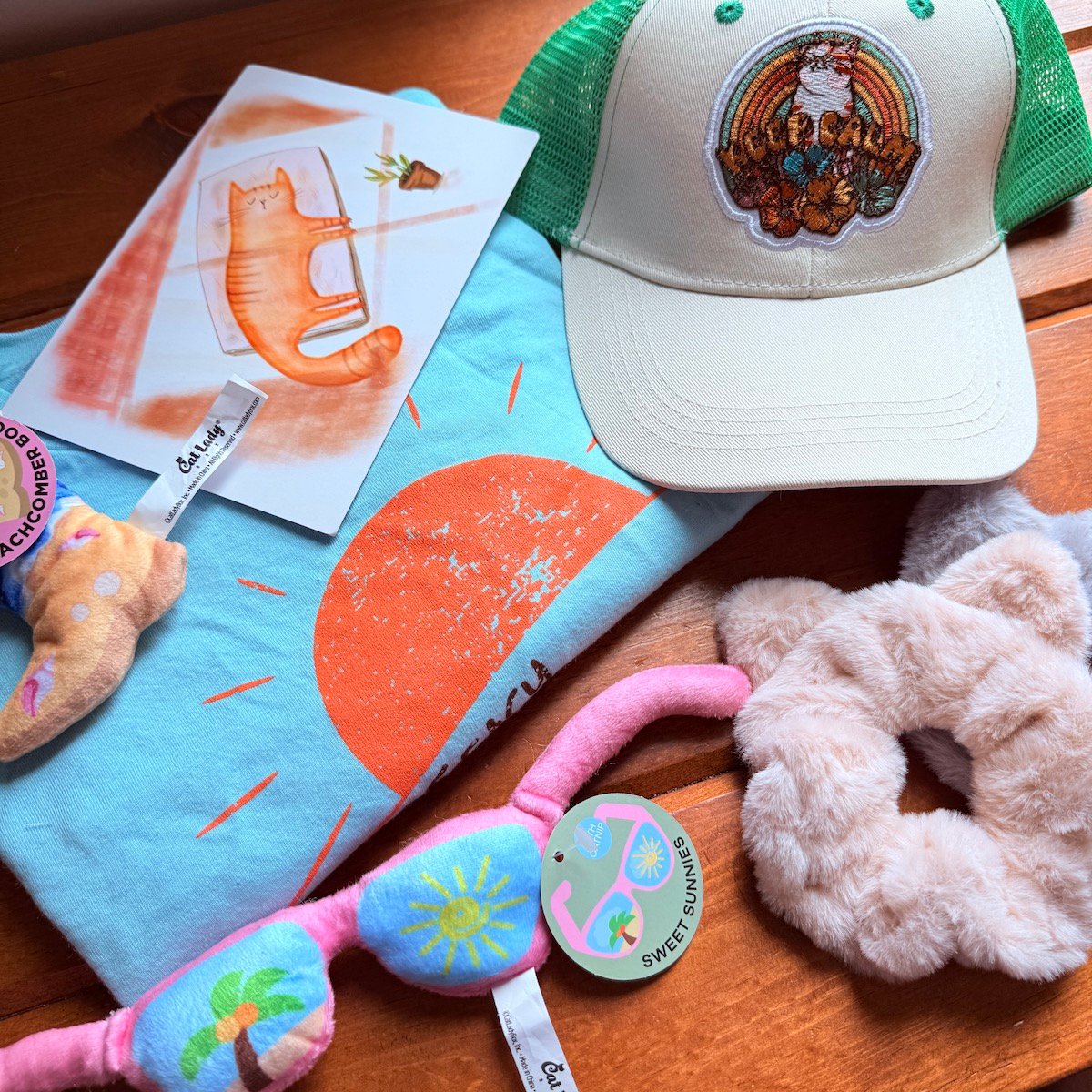 CatLadyBox Review “Chasing Sunbeams” June 2025