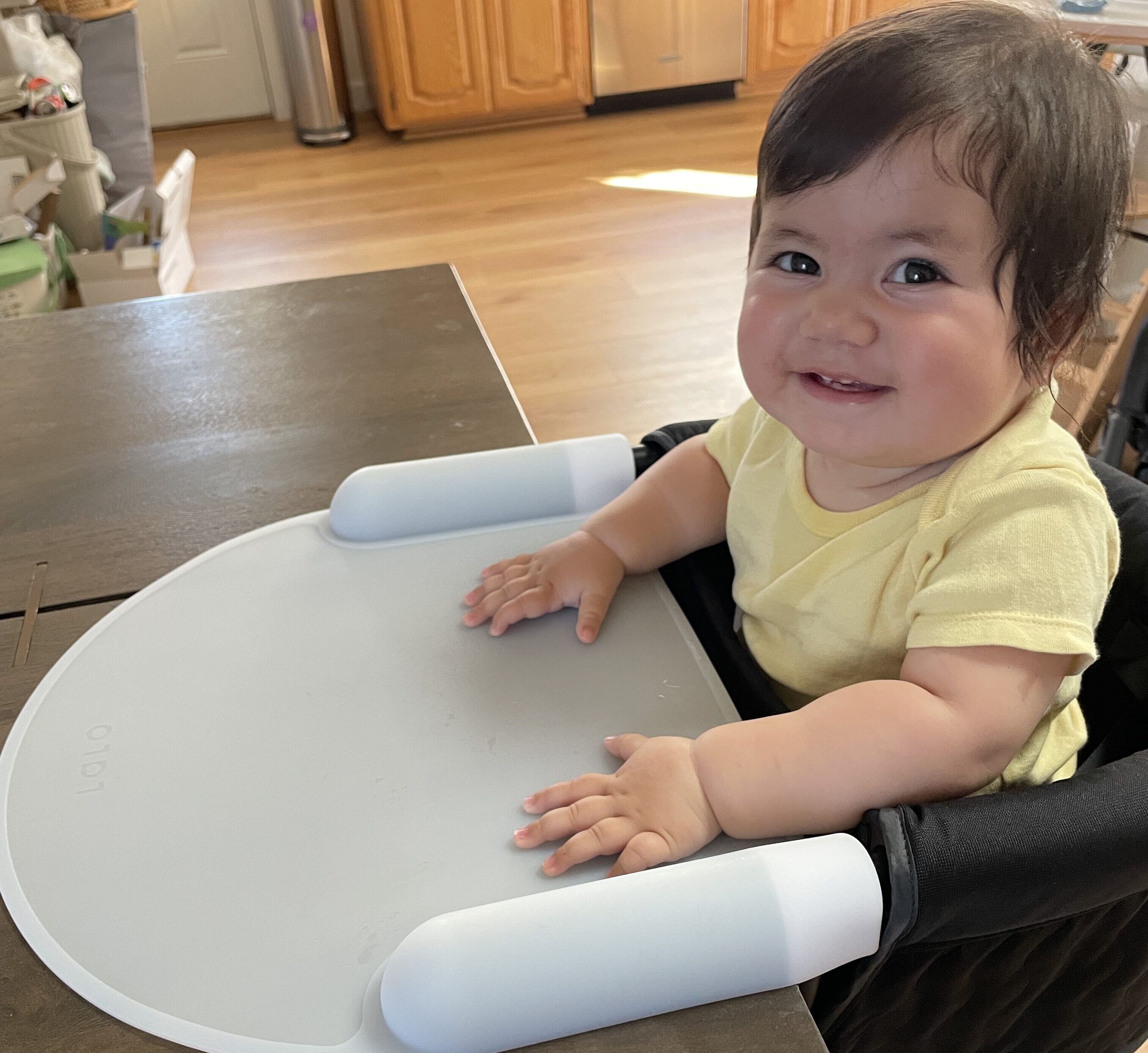 I Tried the Lalo and Inglesina Hook-On Chairs—Only One Checked All My Boxes