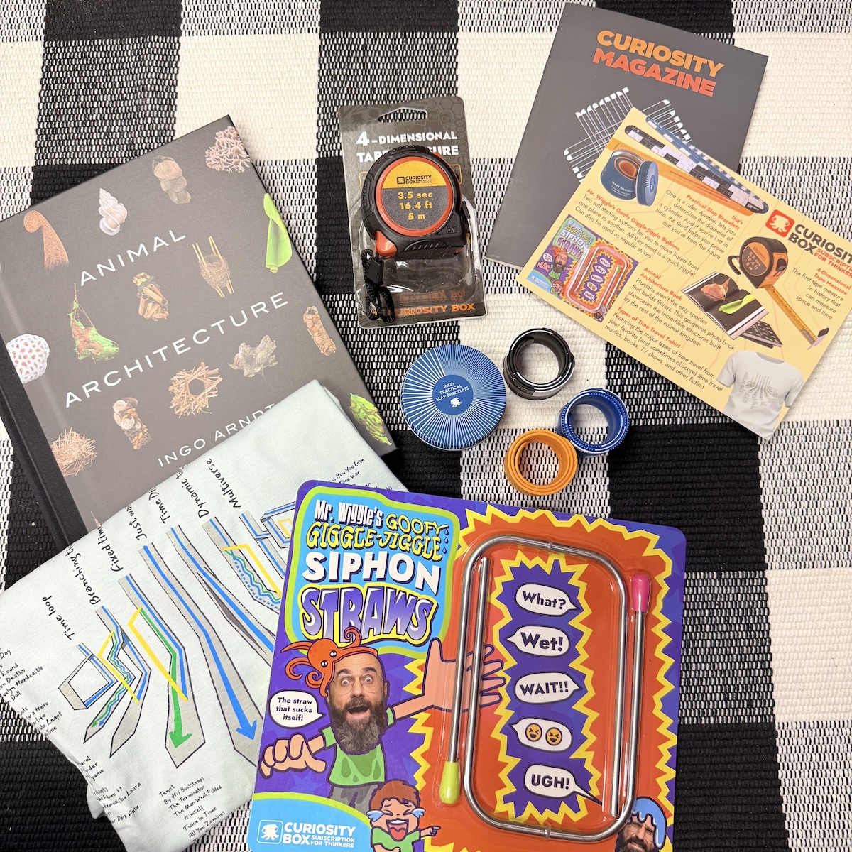 Curiosity Box Review – Fall 2025