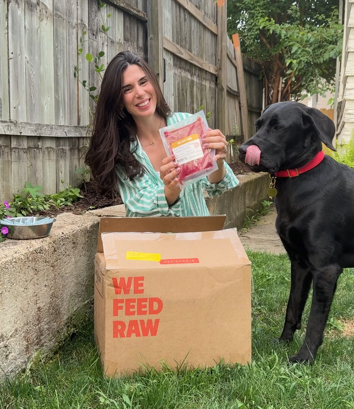 We Feed Raw vs. Ollie: Which Food Is Best For Your Dog?