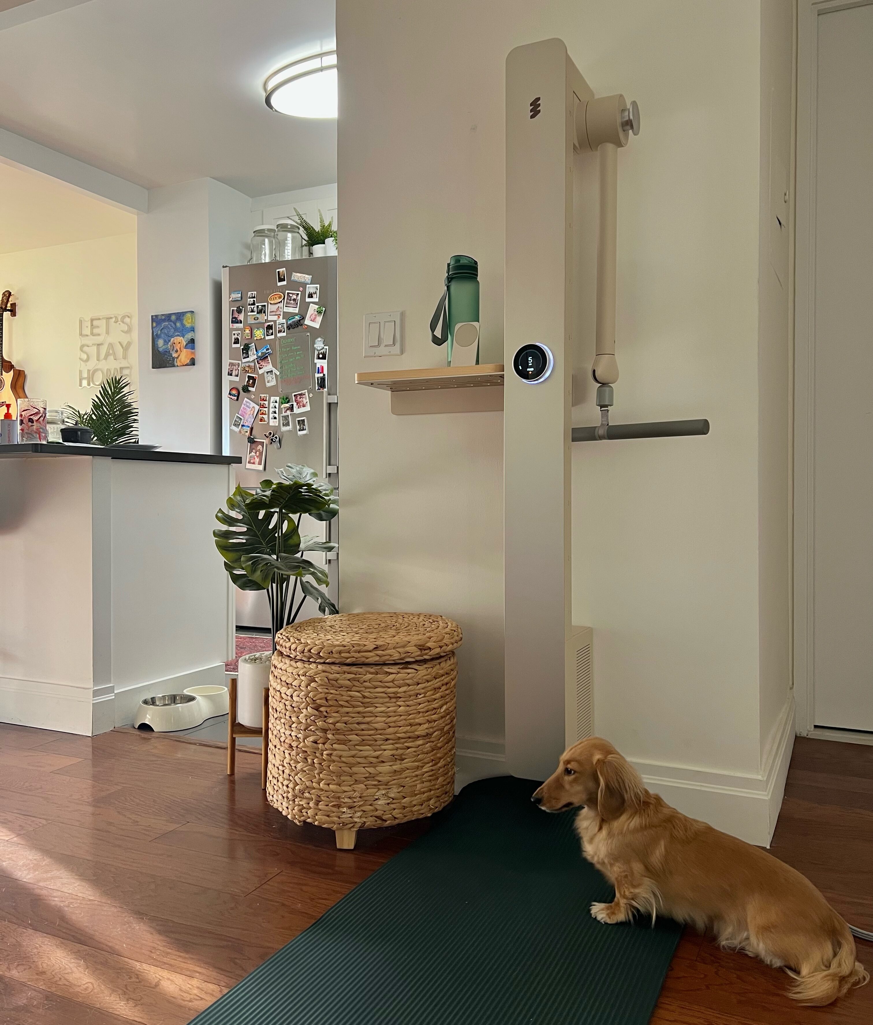 Pilates Reformer vs. amp™: Why Smart, Guided Workouts Win at Home