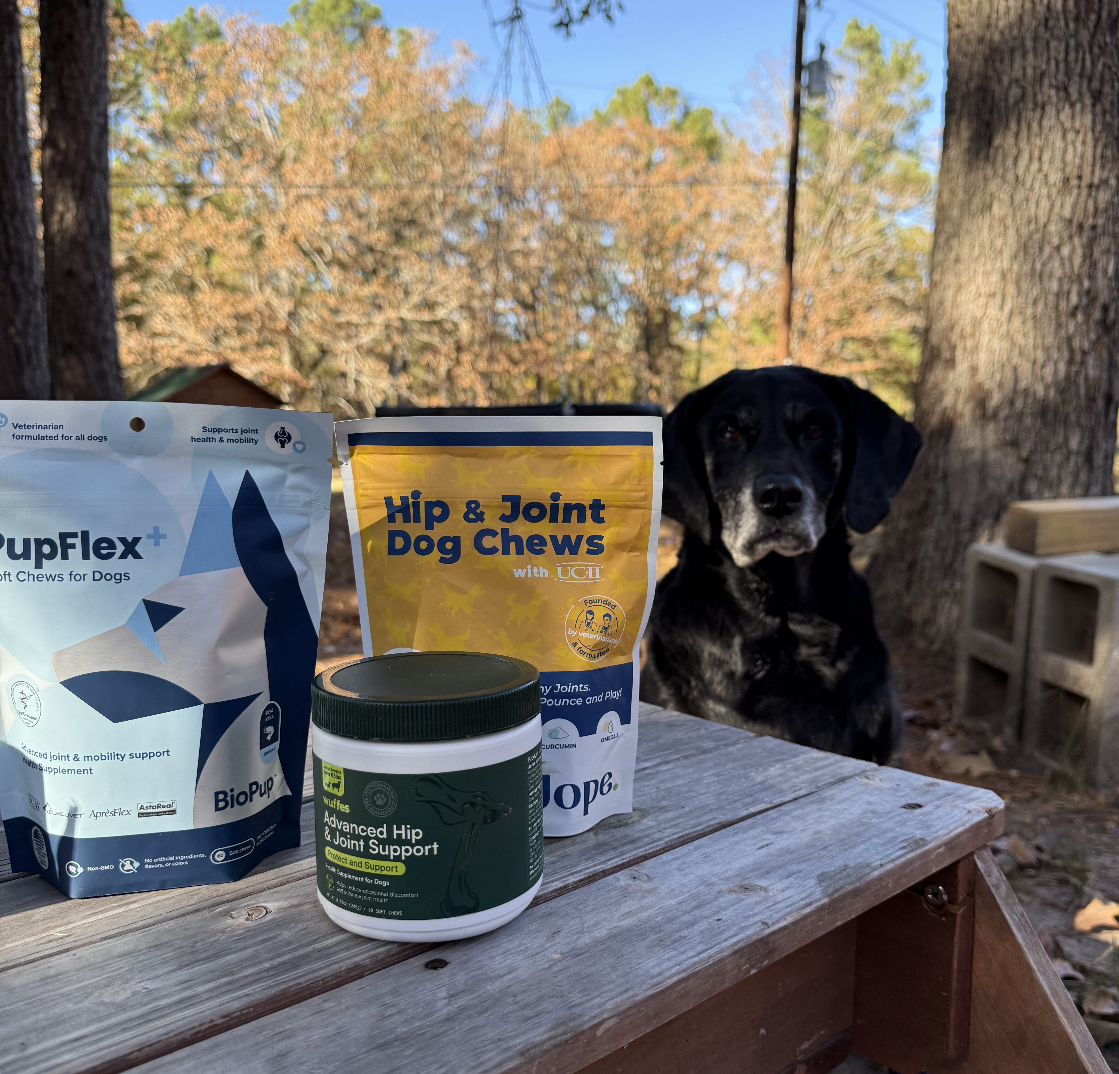 The Only Joint Supplement That Actually Worked for My Senior Dog: BioPup vs. Wuffes vs. Jope