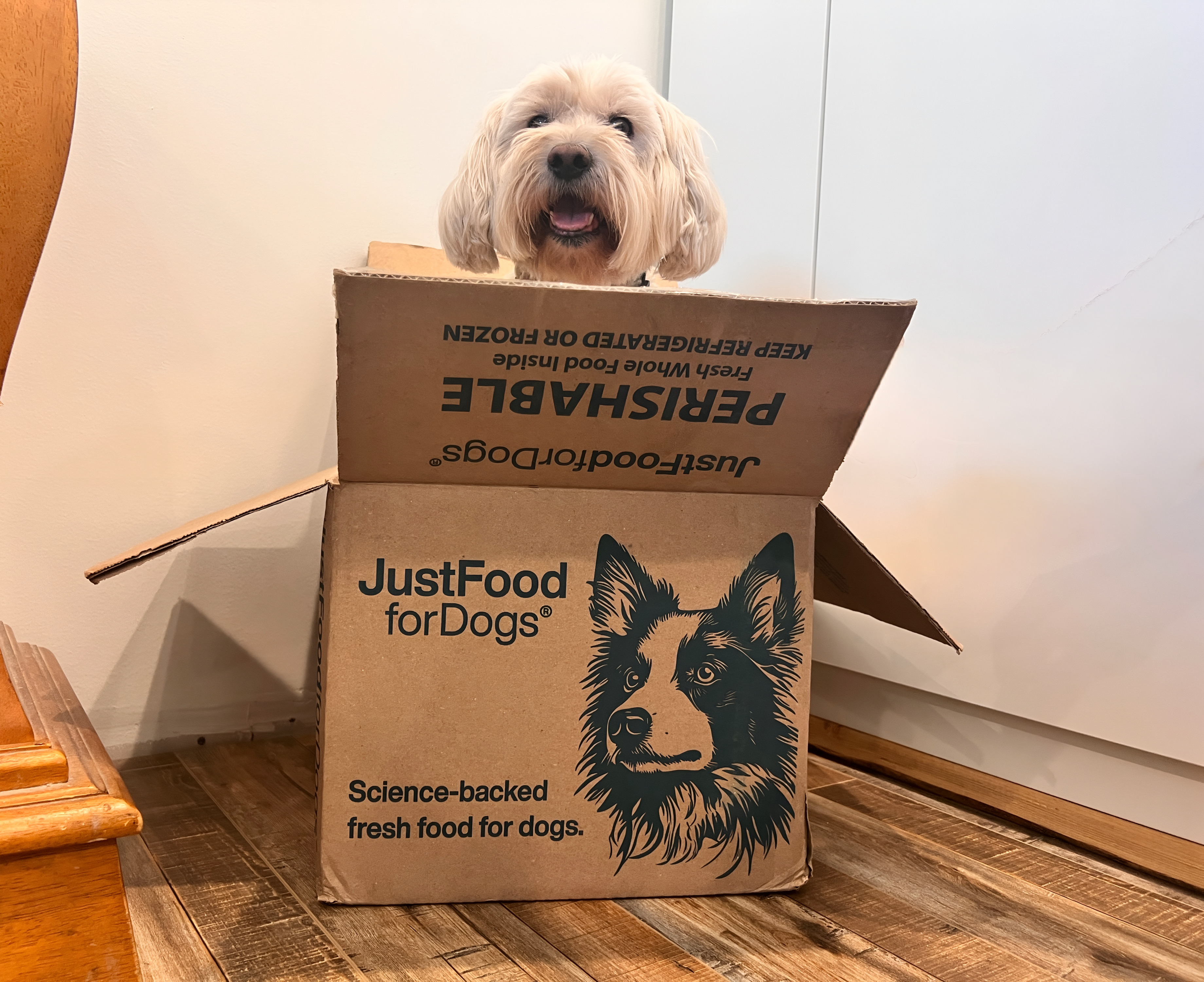 Black Friday Just Got Delicious — 60% Off Fresh Dog Food + Free Gifts on Amazon from JustFoodForDogs