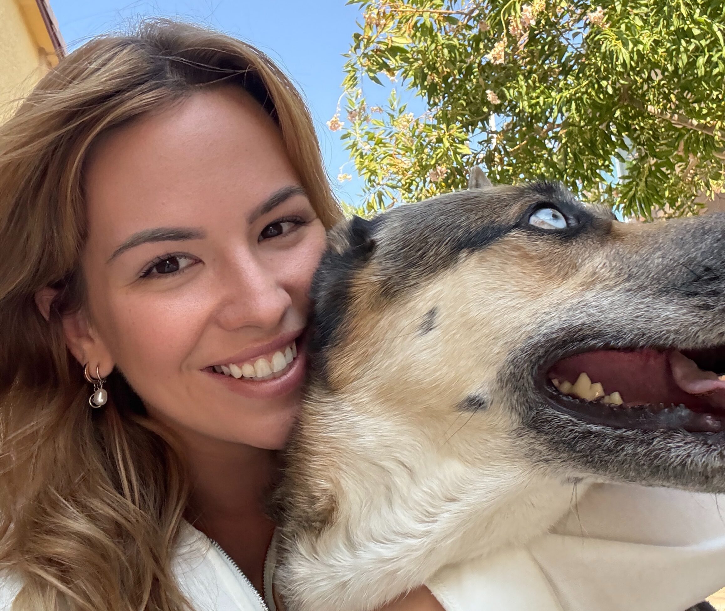 5 Dog Items on Amazon You Should Stock Up on This Black Friday (Because Your Pup Deserves It)