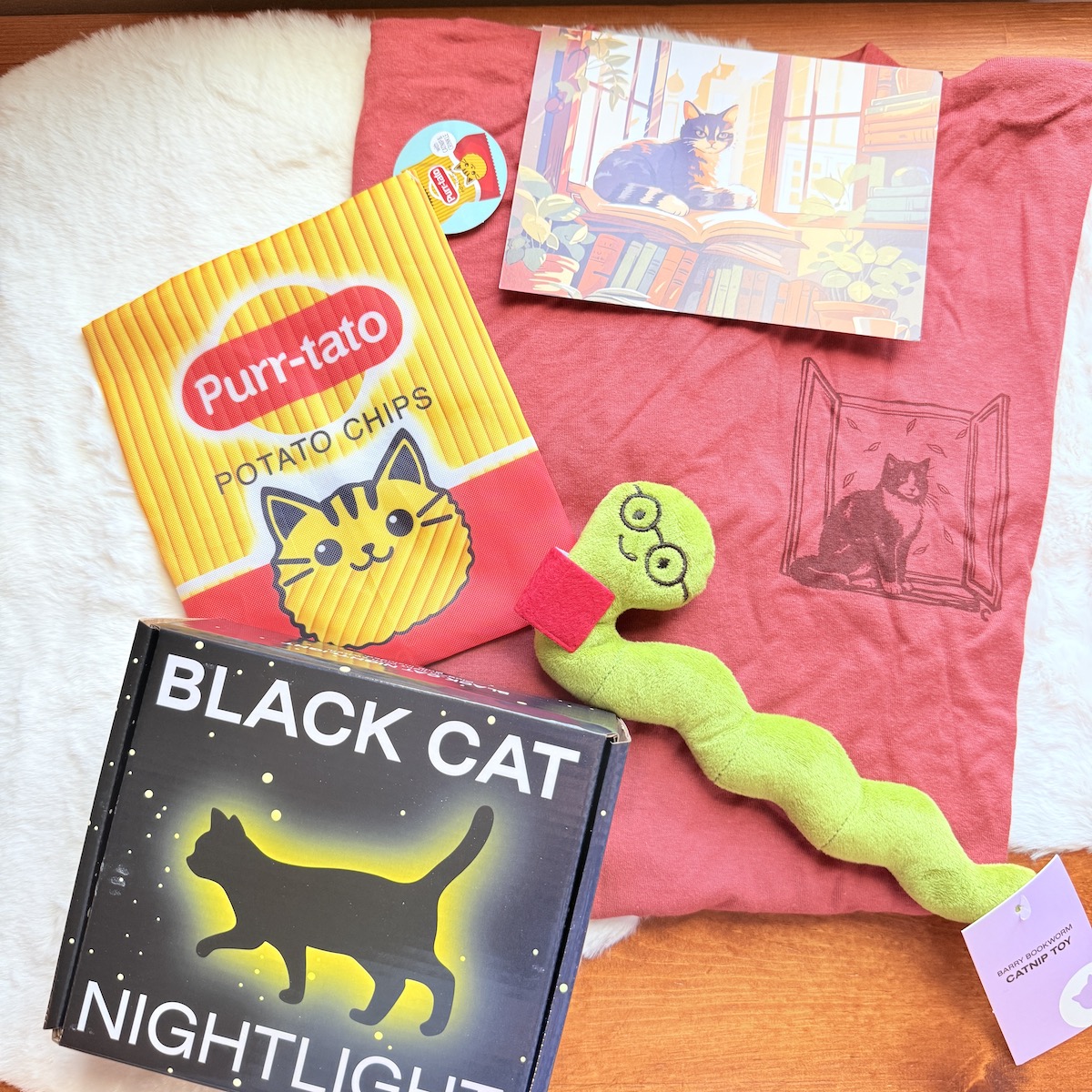 CatLadyBox Review “Cozy Cat Nook” November 2025
