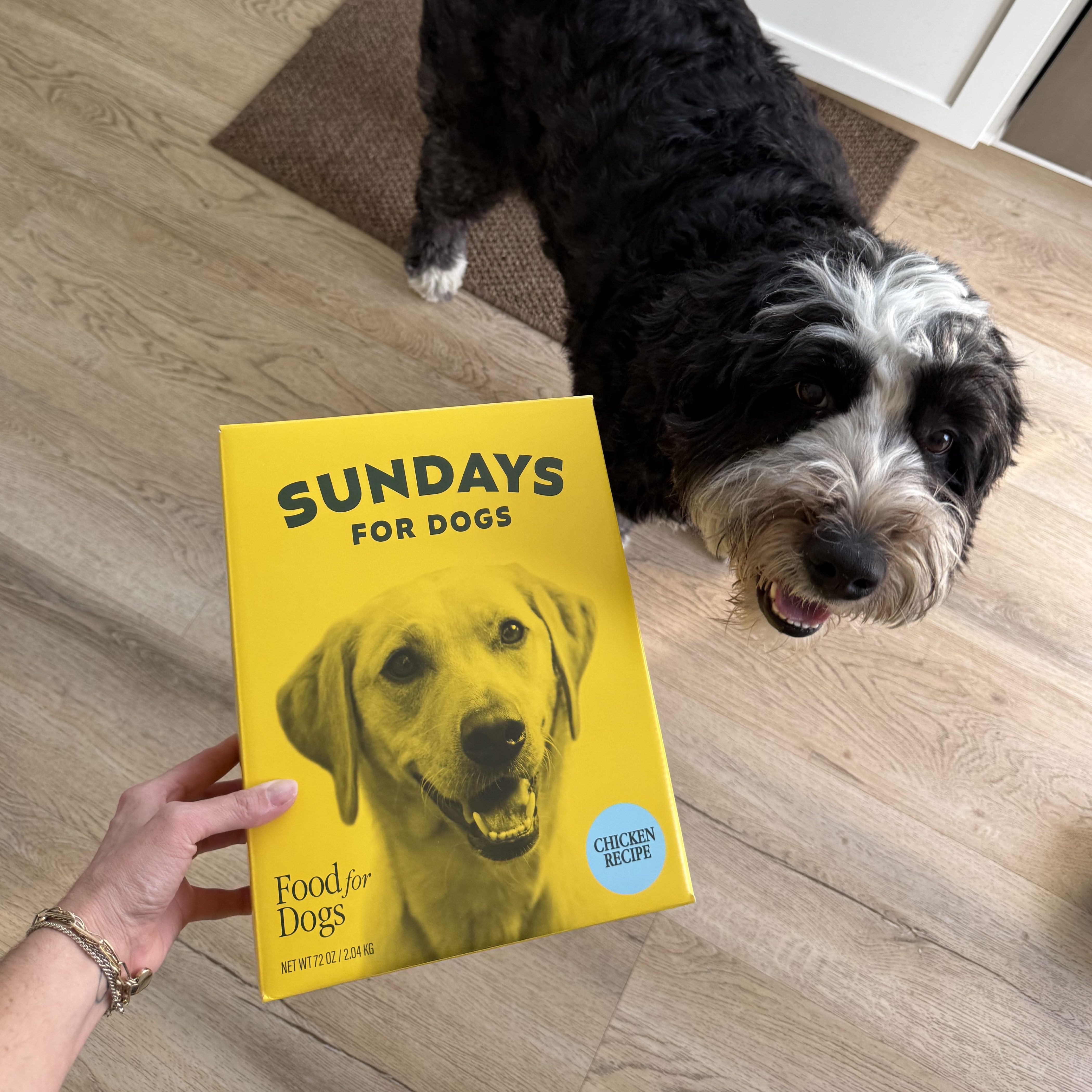 Why I’m Officially Obsessed with Sundays for Dogs (and Goose is Too)