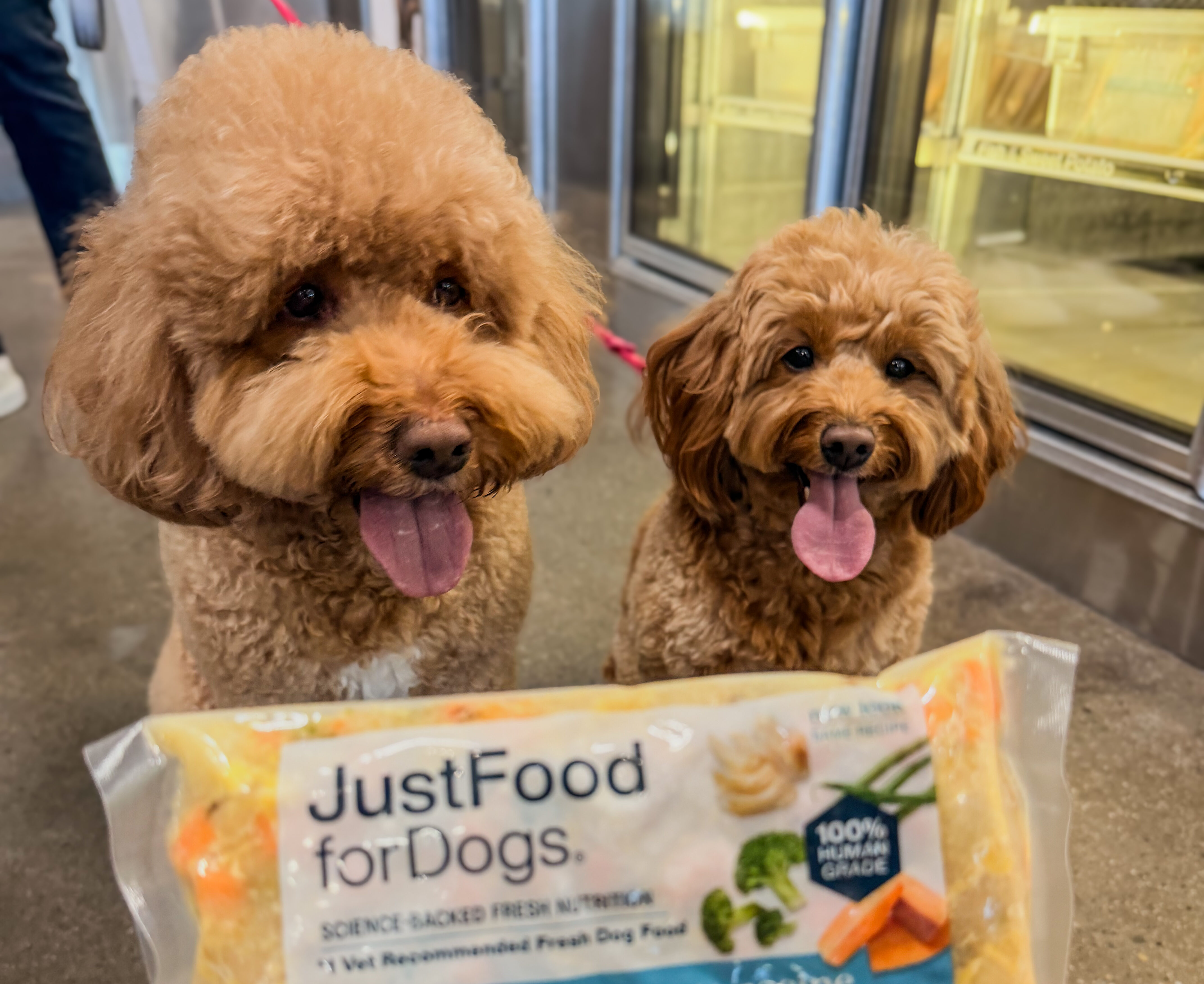 JFFD Changed My Dog’s Life—So When I Found Out There’s a Kitchen in San Diego (Del Mar), I Had to Go