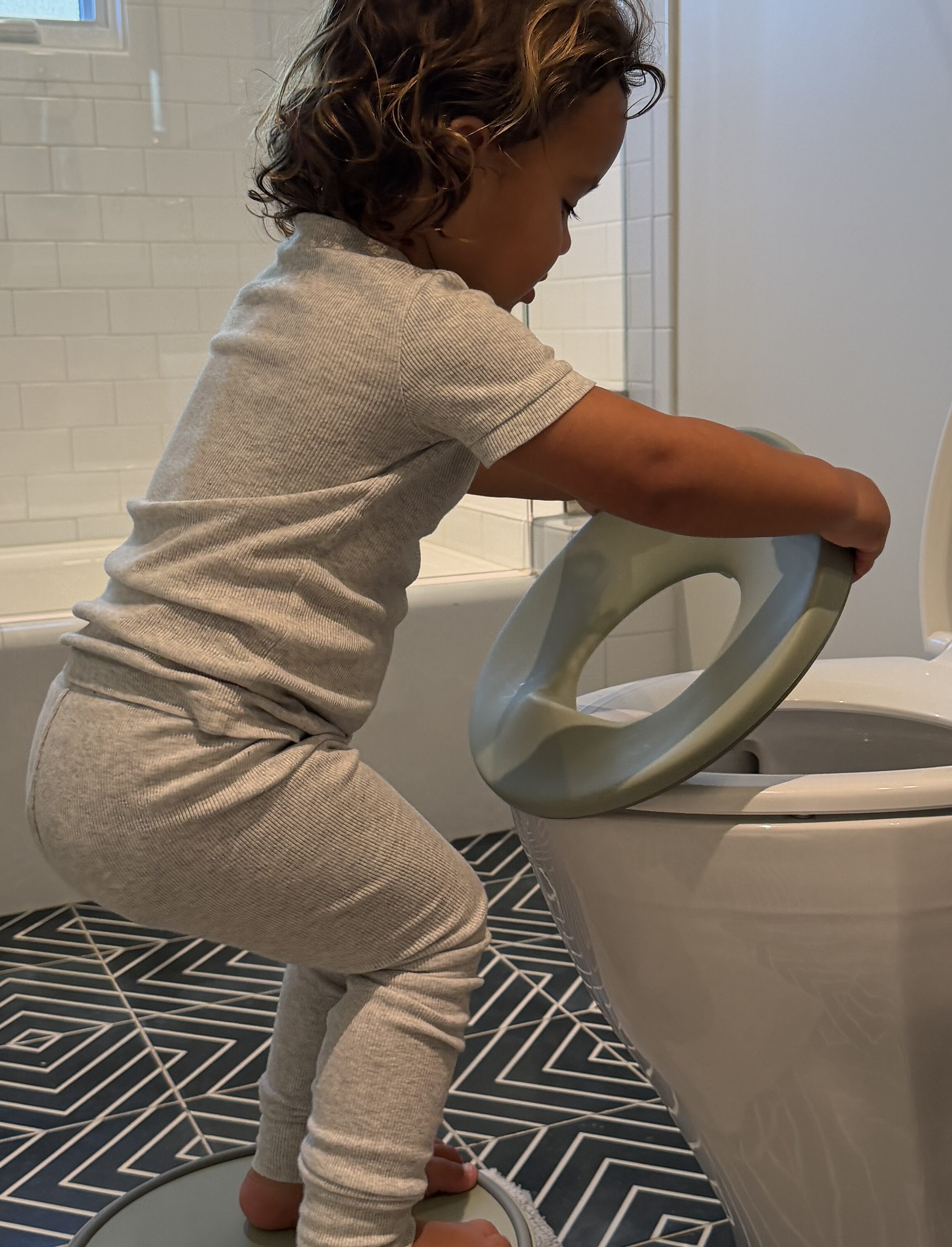 If You’re About To Start Potty Training…Read This First