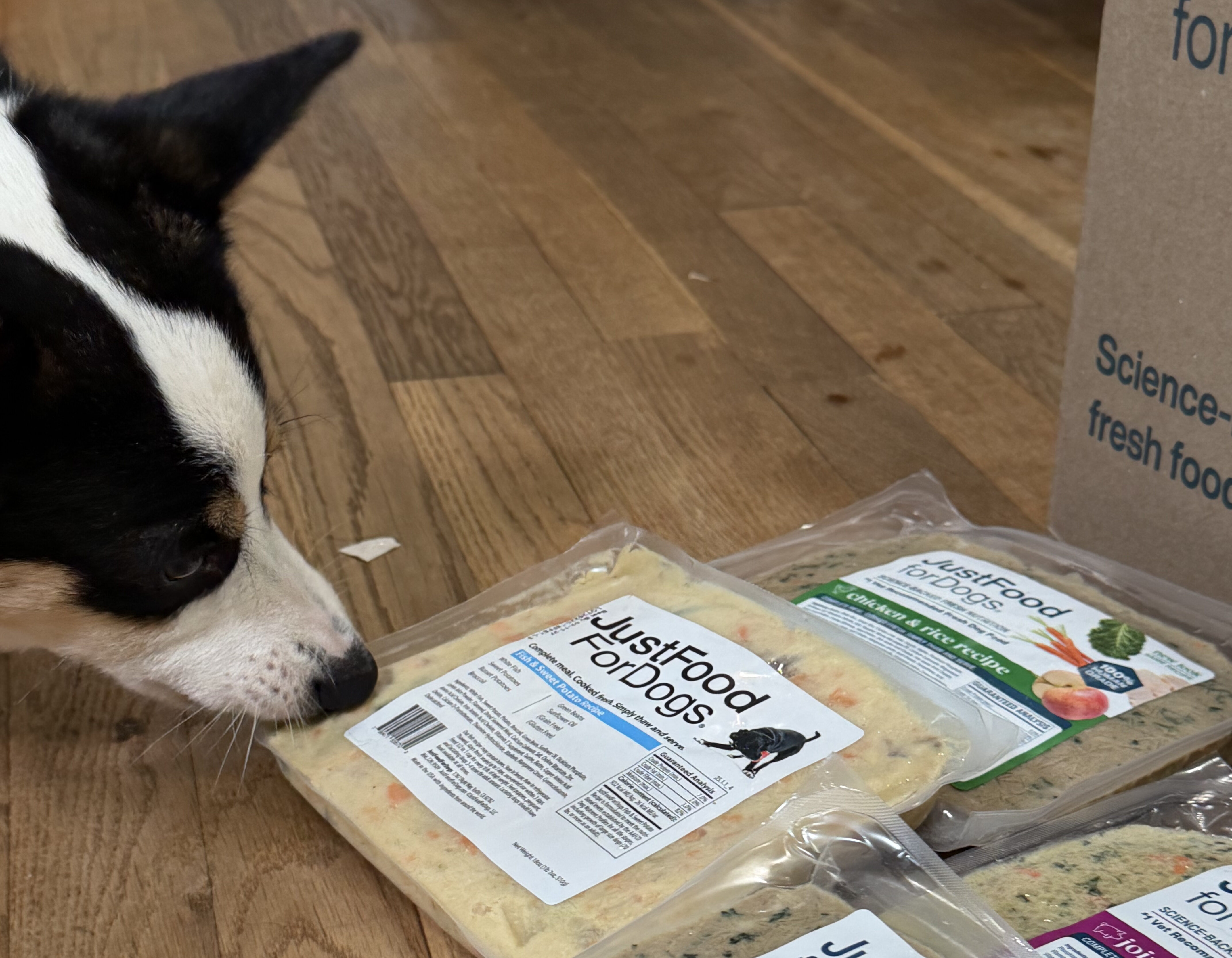 15 Years, Two Dogs, and One Clear Choice: Why JustFoodForDogs Is My Go-To for Fresh Dog Food