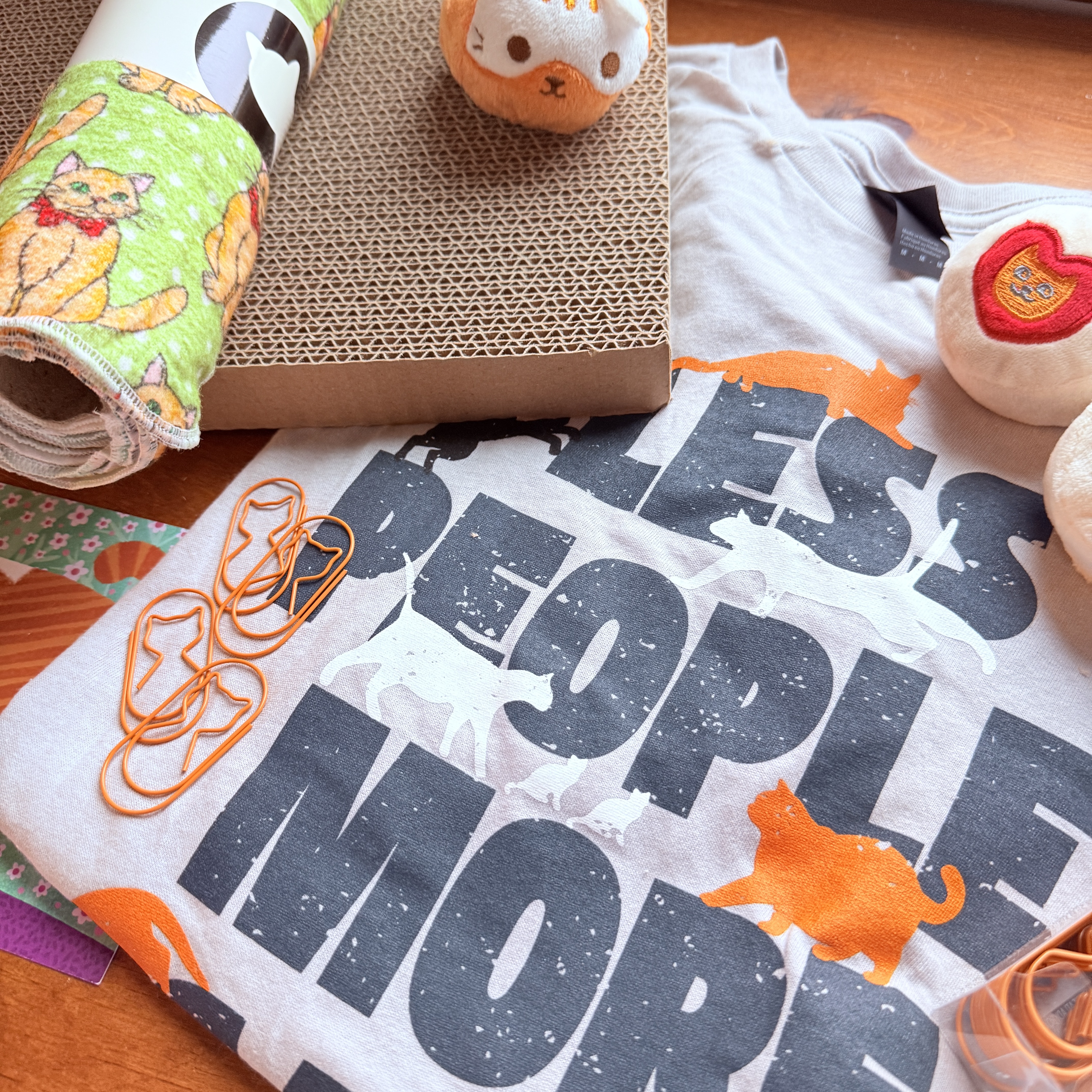 CatLadyBox Review “Orange Cats Box” April 2026