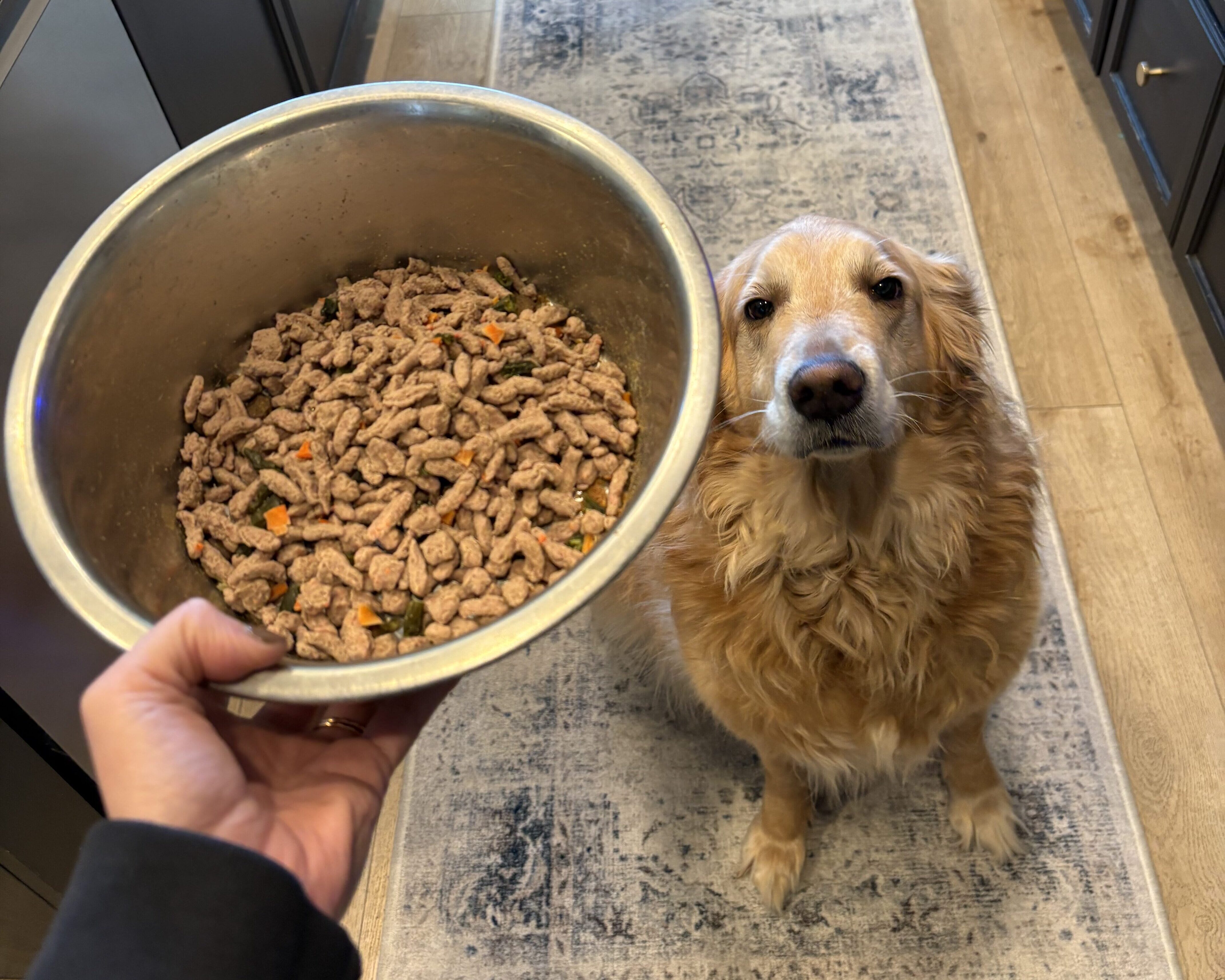 Freshpet vs. Kibble: Why I Finally Switched (and Wish I Did Sooner)