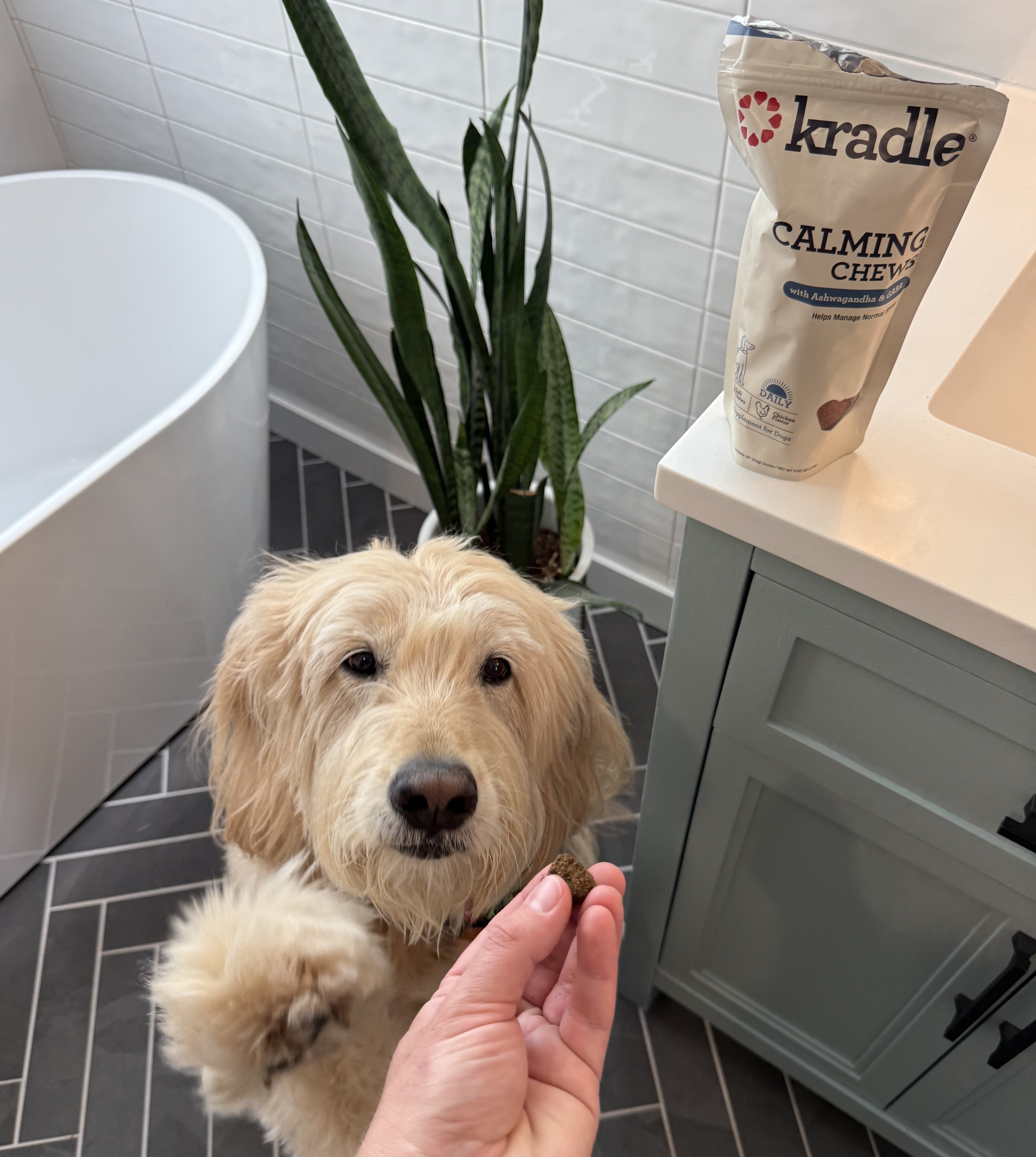 I Wasn’t Sure Kradle’s Calming Chews Were Necessary. Then I Took a Closer Look.