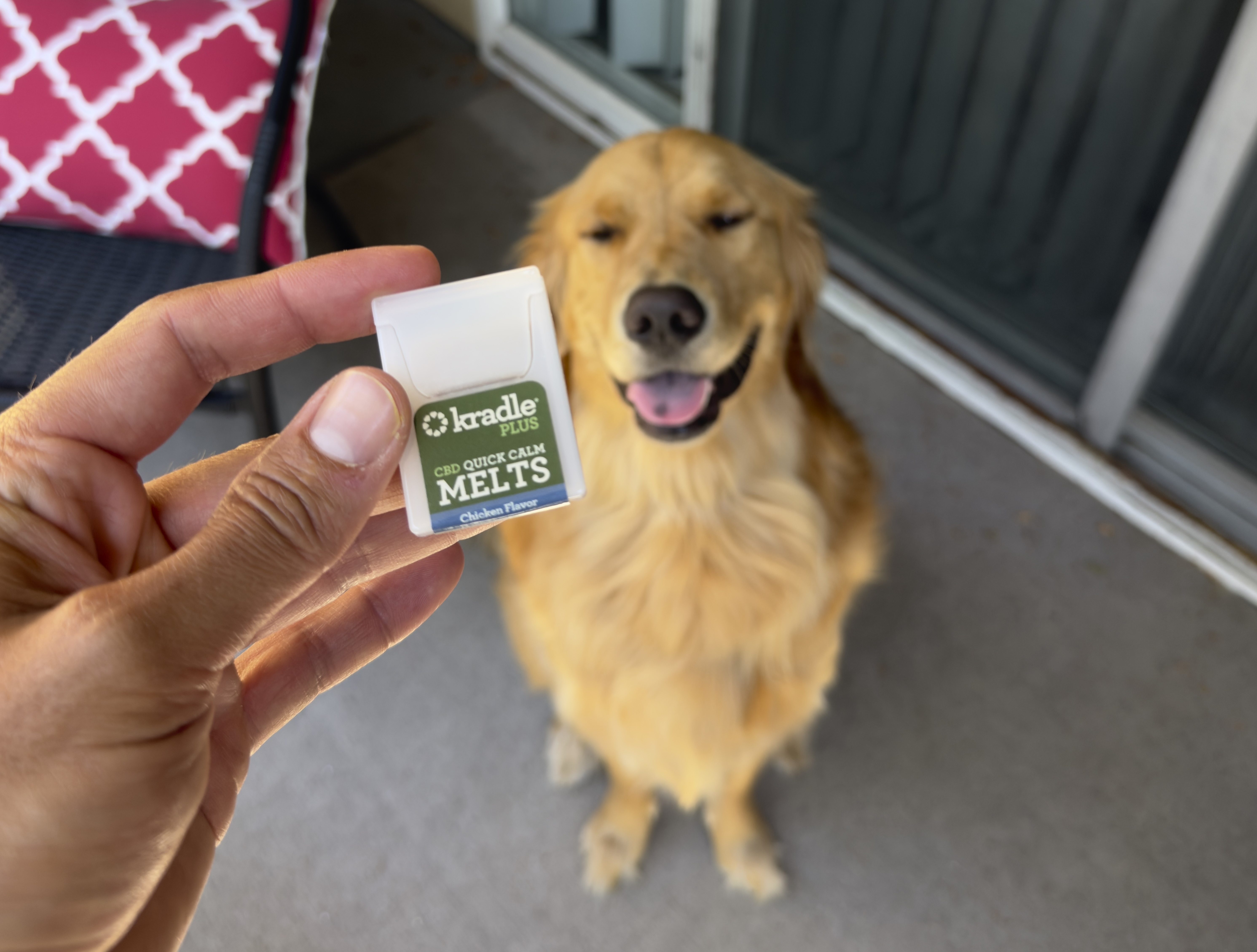 I Was Skeptical About CBD for Dogs Until I Started Thinking About the 4th of July