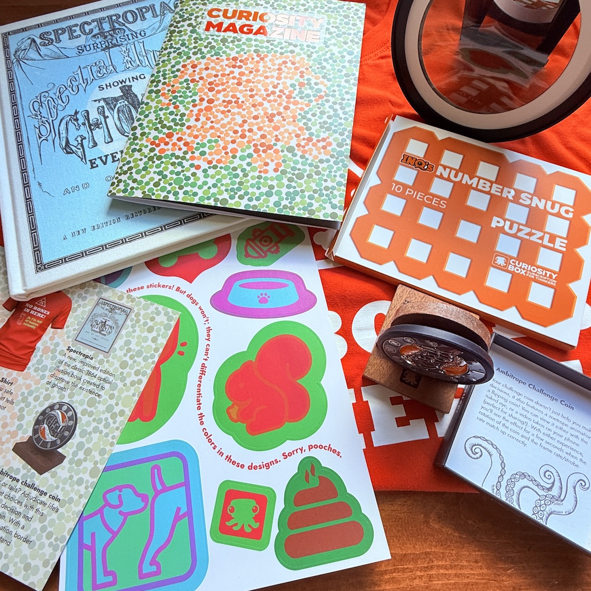 Curiosity Box Review – Summer 2026