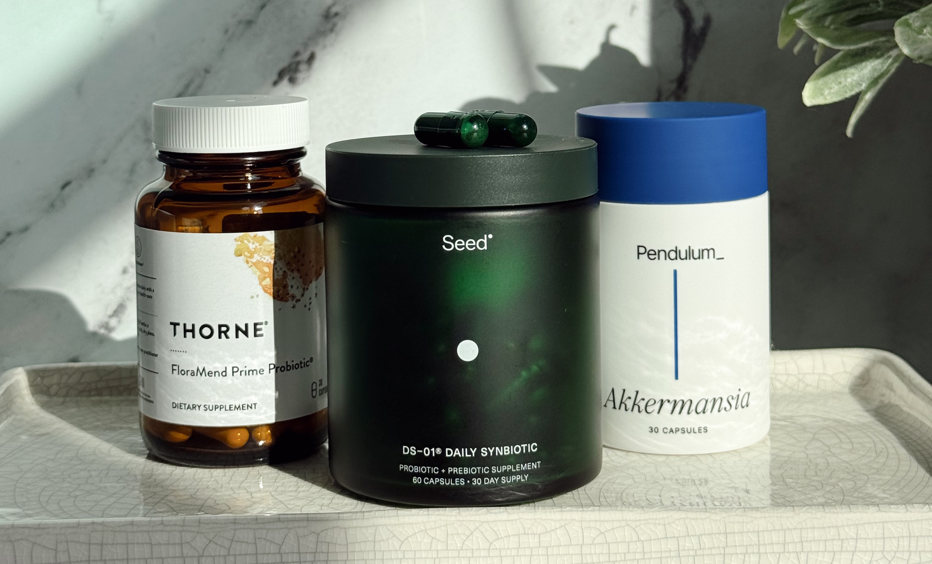 I Finally Compared the Internet’s Most Popular Probiotics. Here’s My Verdict